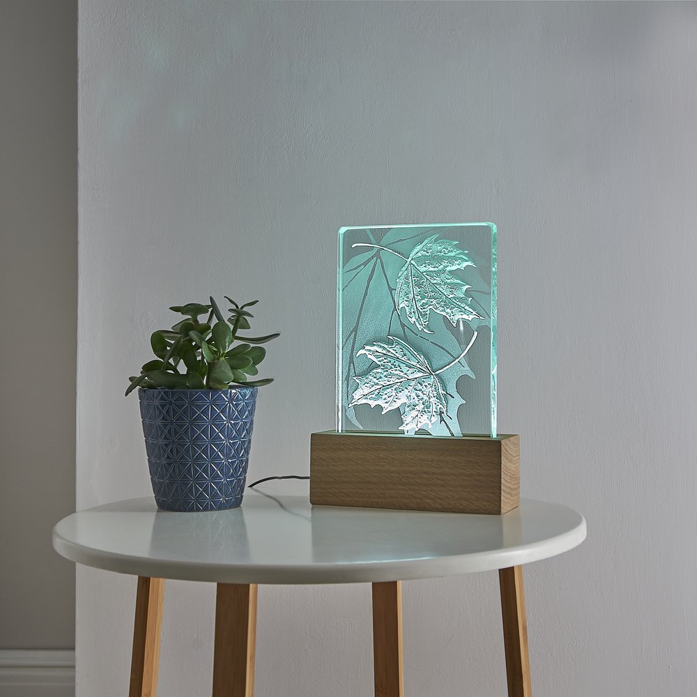 Decorative glass lamps engraved with organic natural forms and lit from within, photographed in setting to represent home with small table and potted plant 