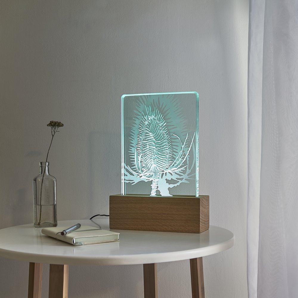  Decorative glass lamps engraved with organic natural forms and lit from within, photographed in setting to represent home with small table and voil 