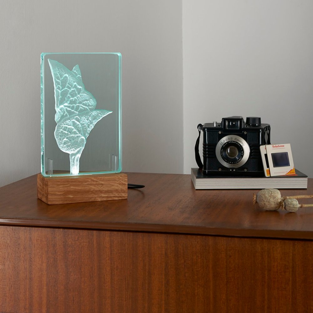  Decorative glass lamps engraved with organic natural forms and lit from within, photographed in setting to represent home upon mid century chest 