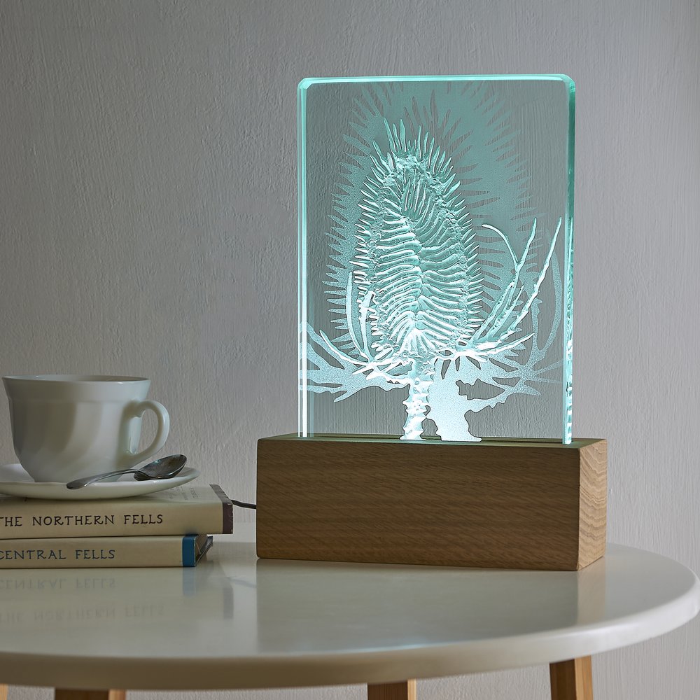  Decorative glass lamps engraved with organic natural forms and lit from within, photographed in setting to represent home with small table and cup of tea 