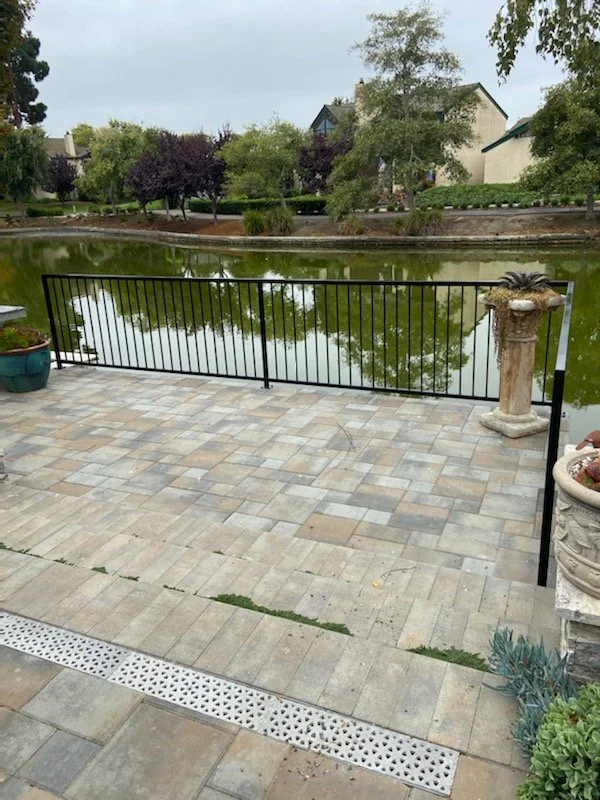 A rectangular black fence as a separation and security fence for the house with a lake behind it.