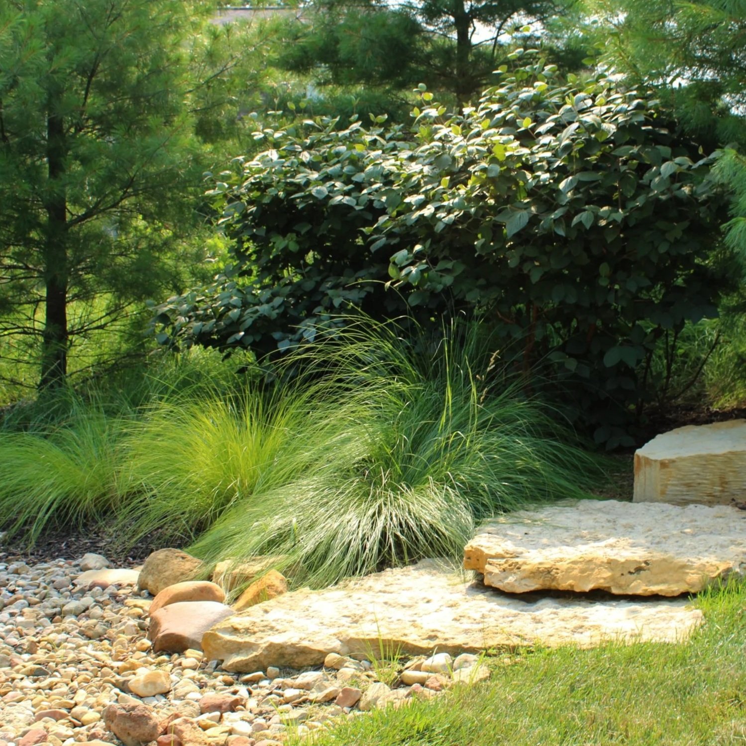 PLANTINGS