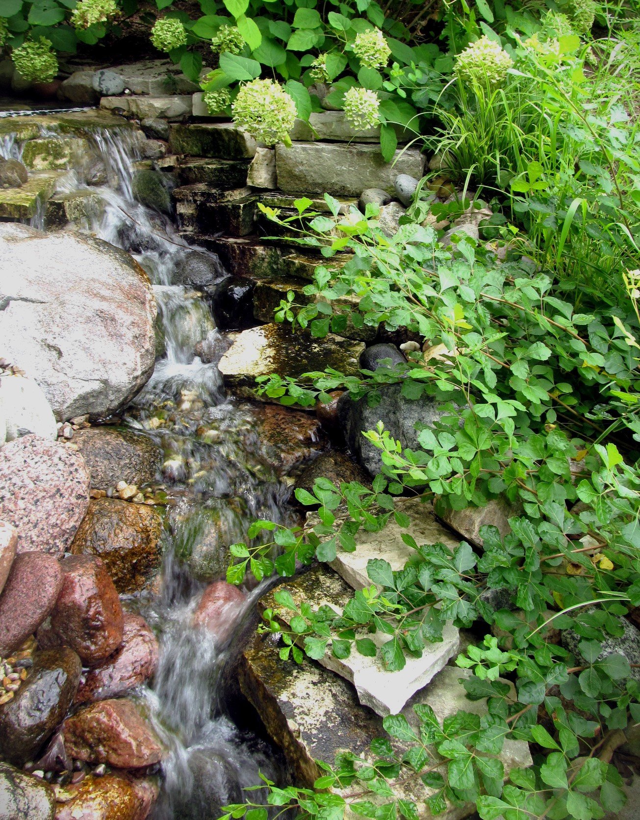 WATER (20).jpg
