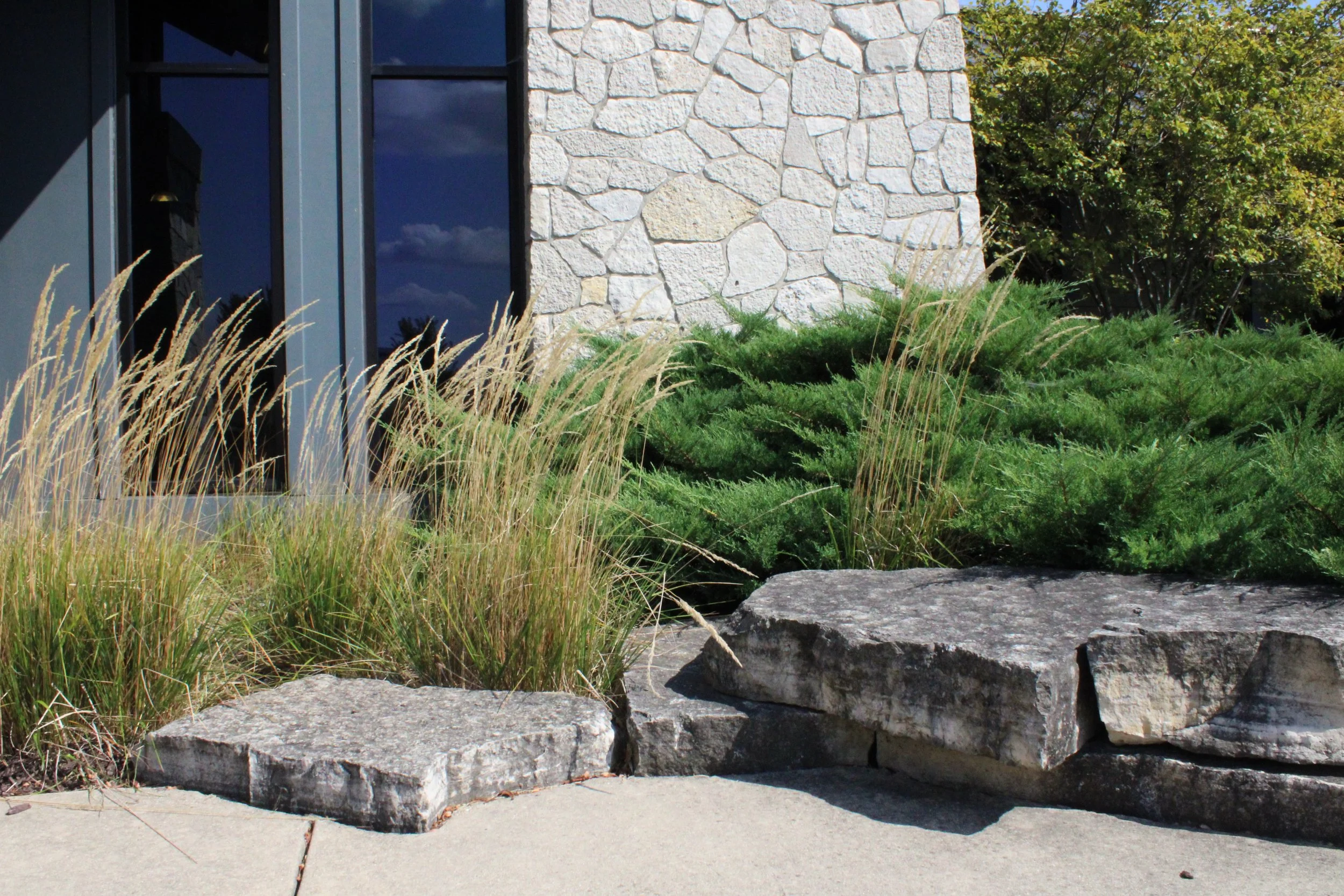 Nuss Trans outcropping in beds (2).JPG