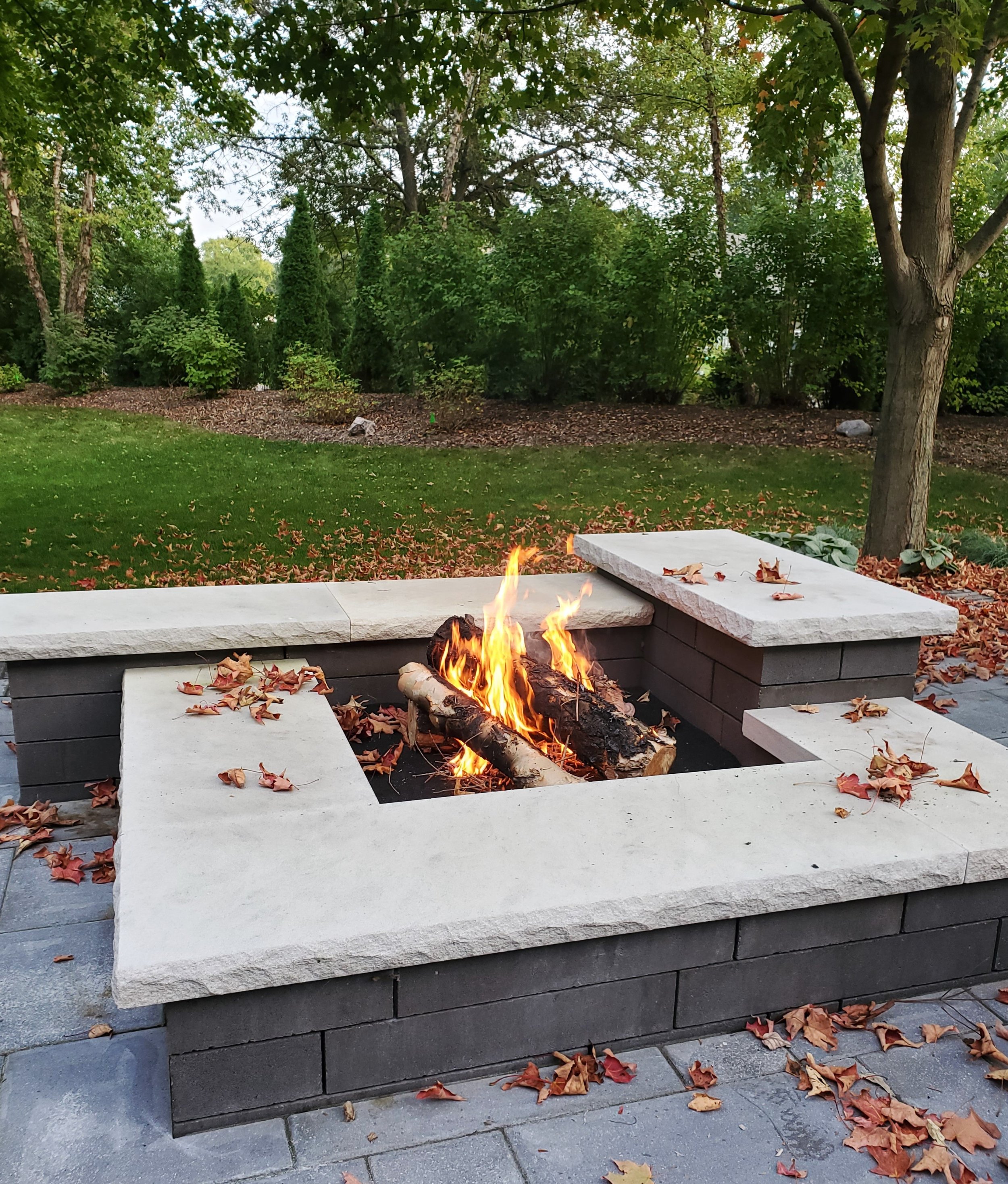 FIRE 31.jpg