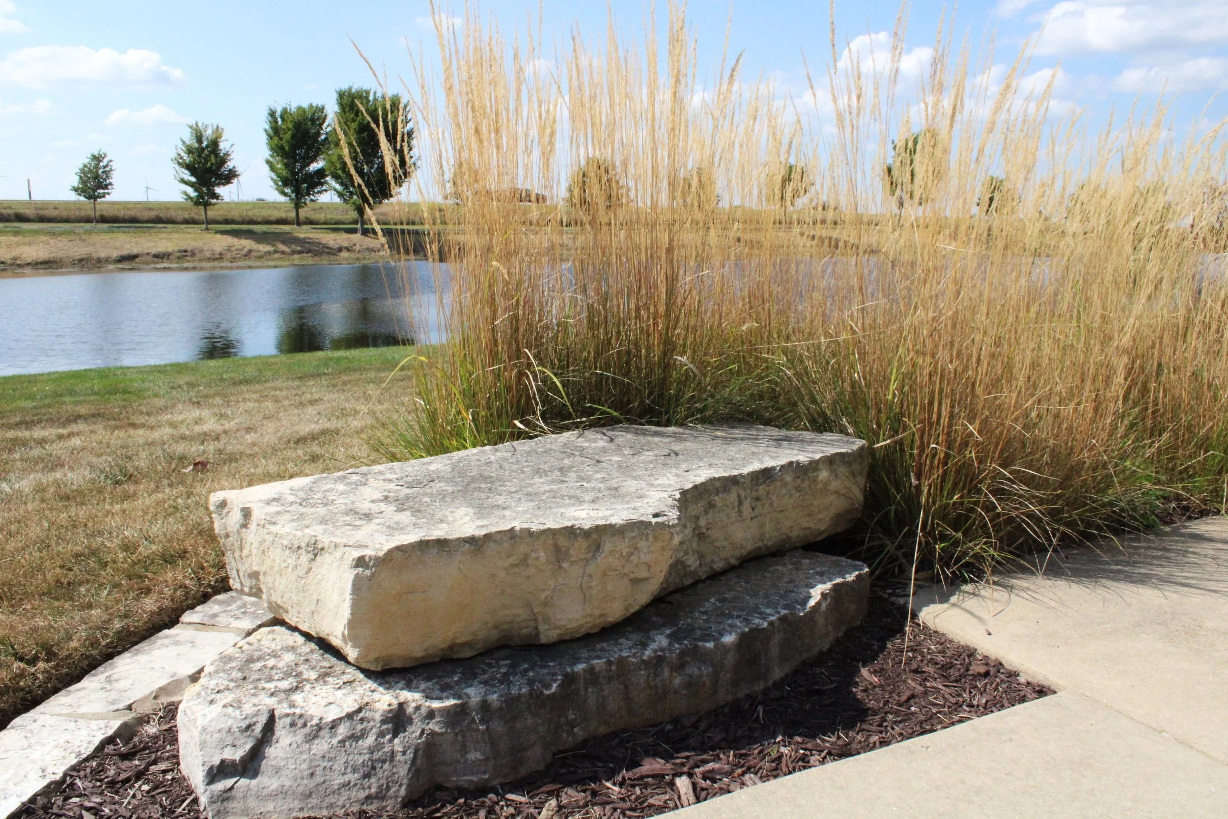 Nuss Trans outcropping in beds (3).JPG