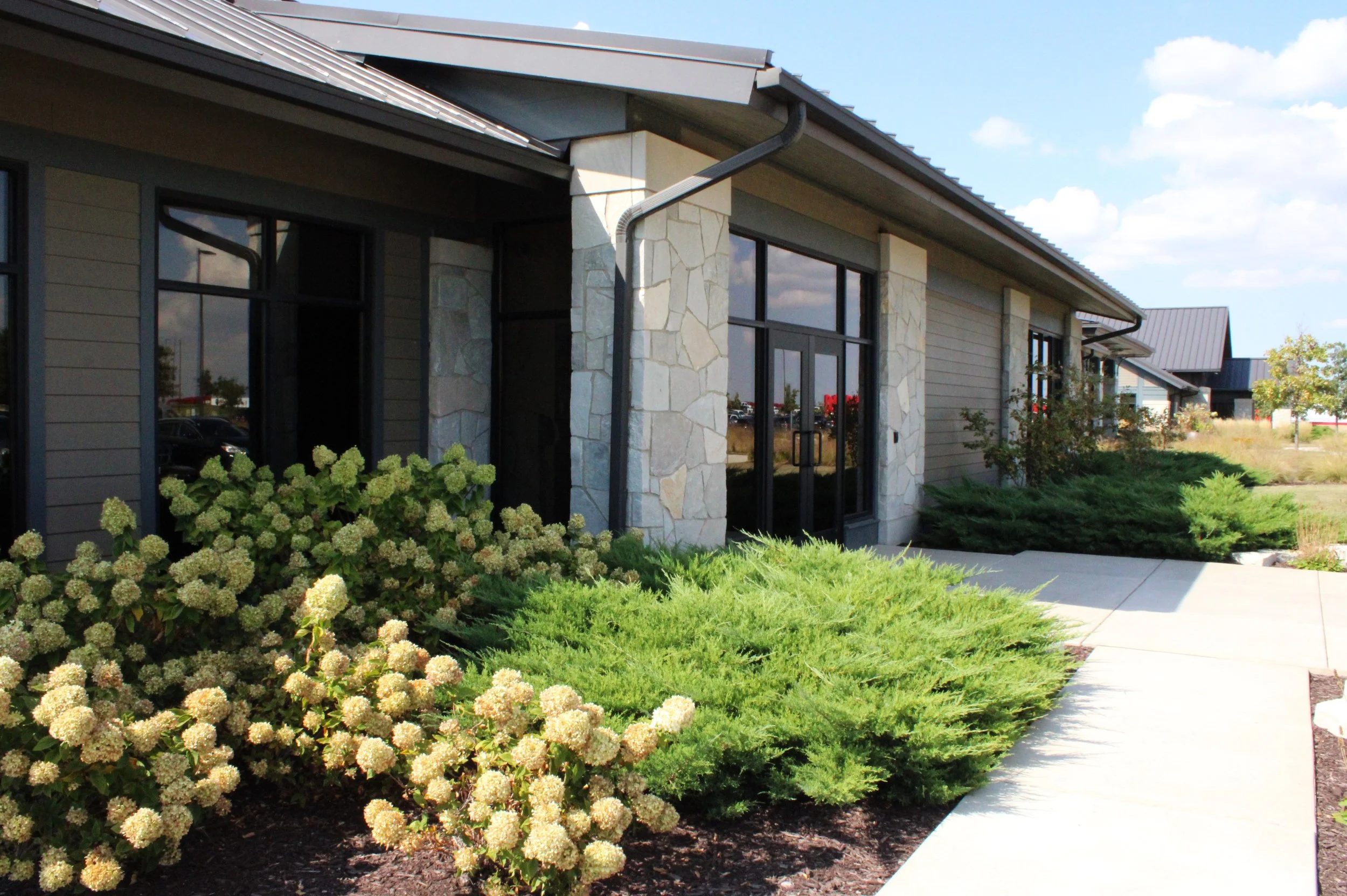 Nuss Trans limelight kallays (2).JPG