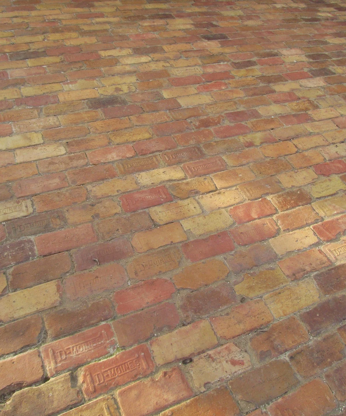 PAVING (54).JPG