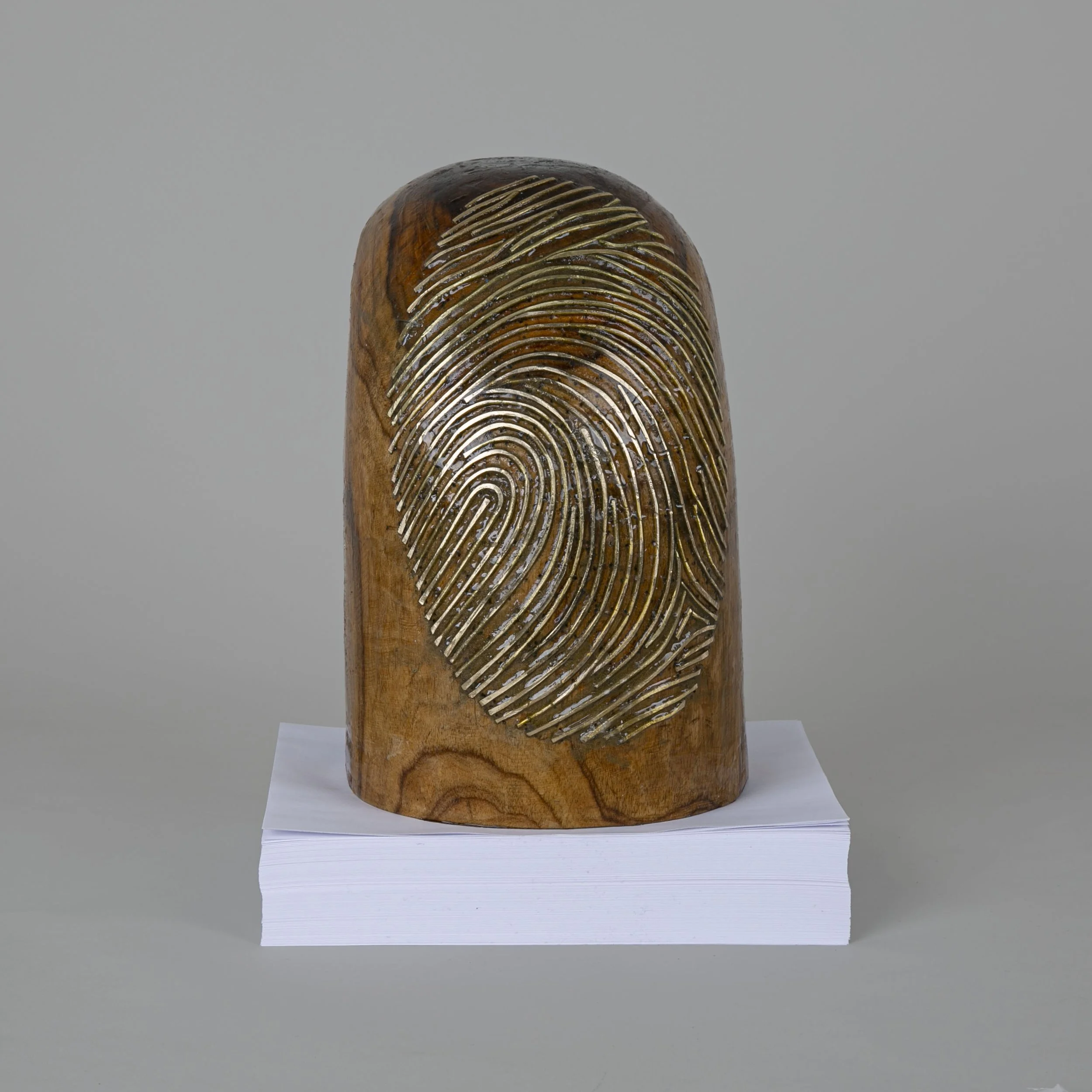 Tuiwala_Abhishek_The Golden Identity_2021.jpg