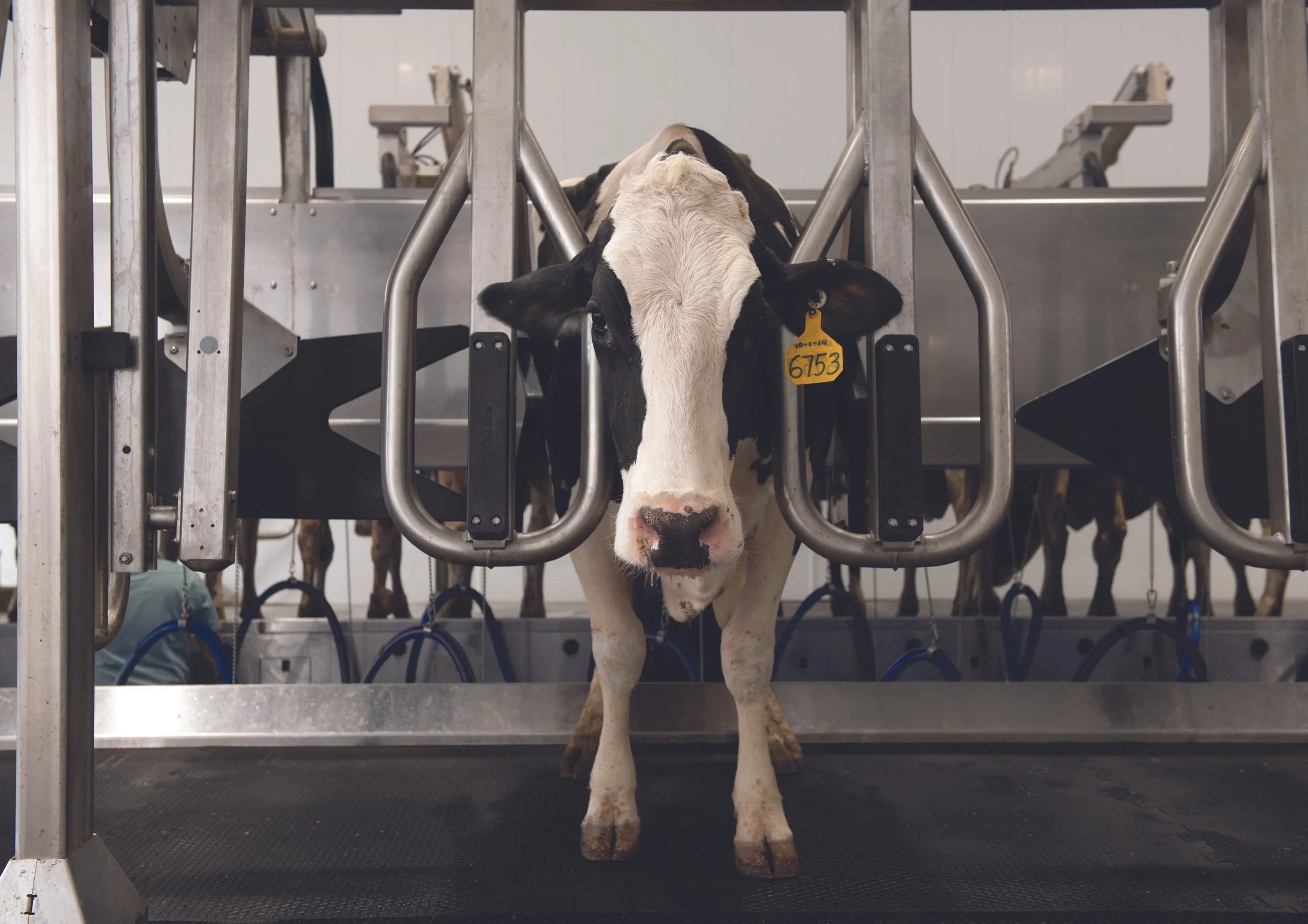 Parlor P500 SynchroArc.jpg