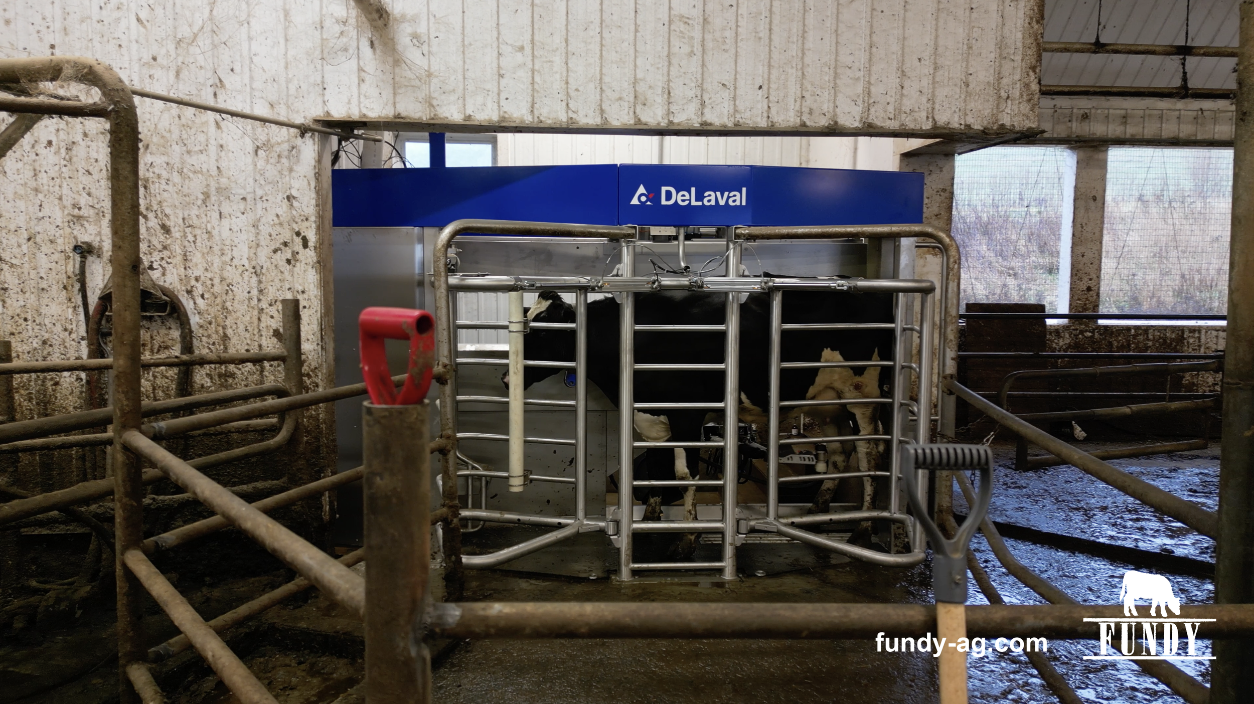 Screenshot 2026-01-08 at 9.36.04 AM.png