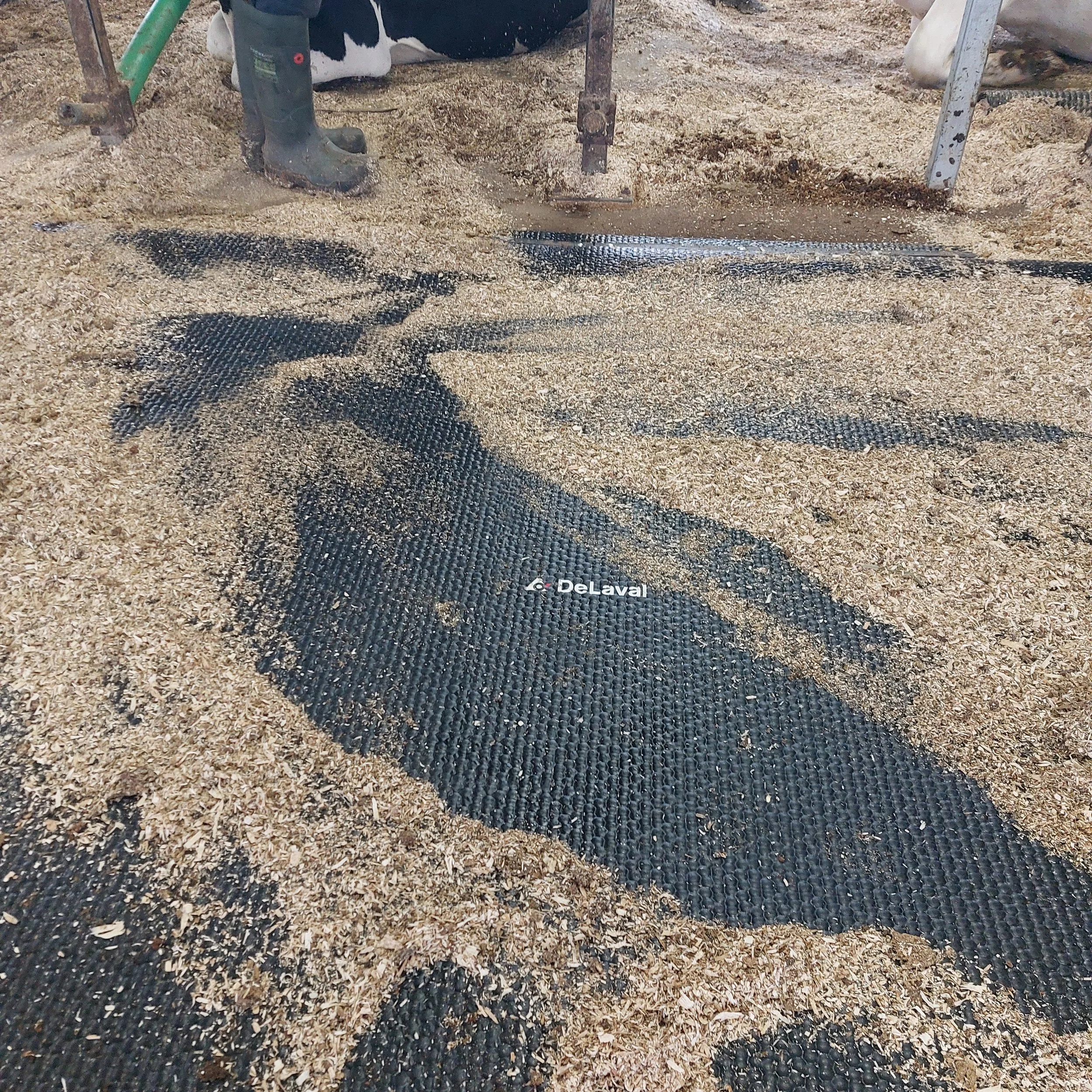mat_replacement05.jpg