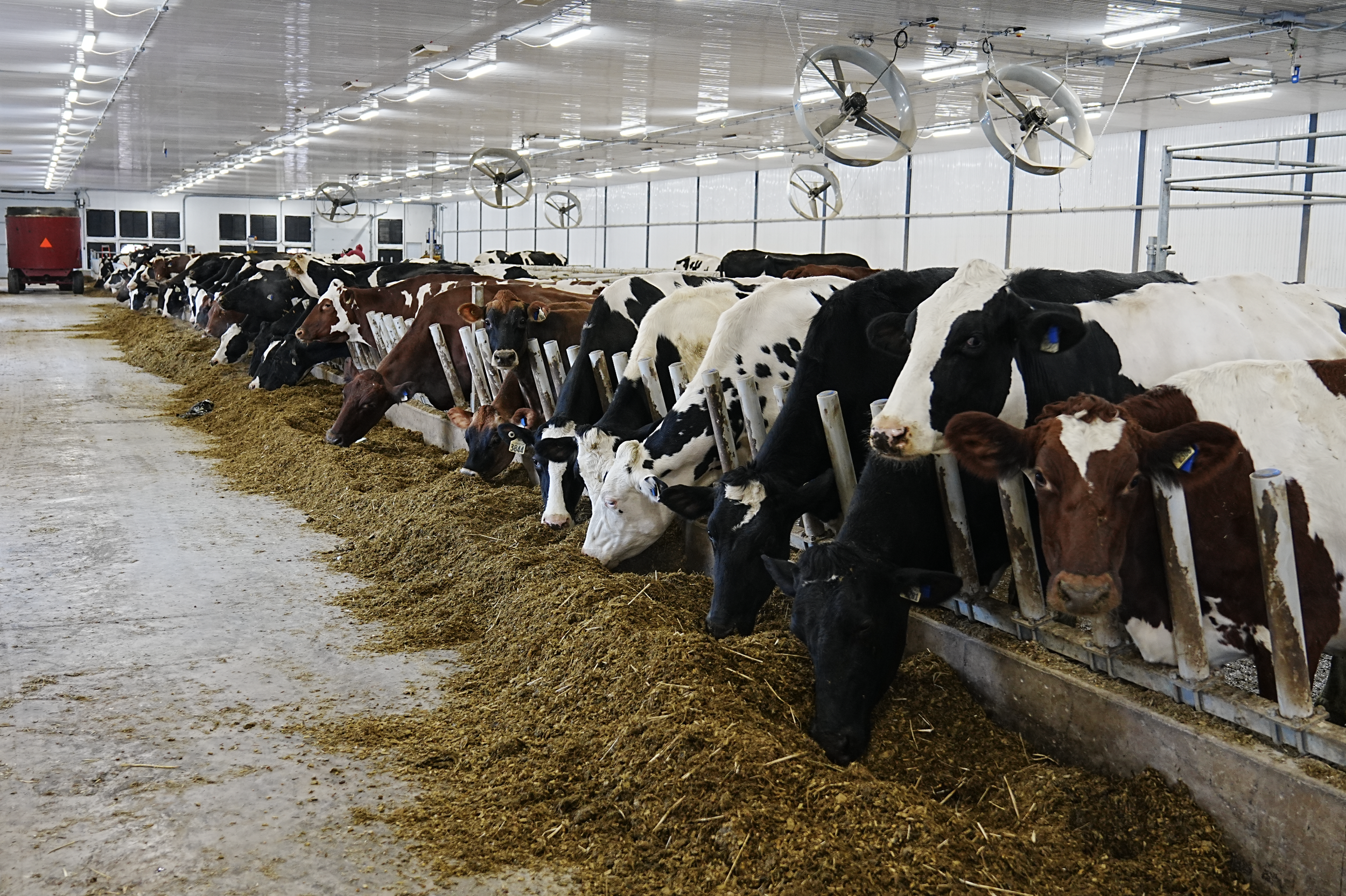 Screenshot 2026-01-07 at 3.01.55 PM.png