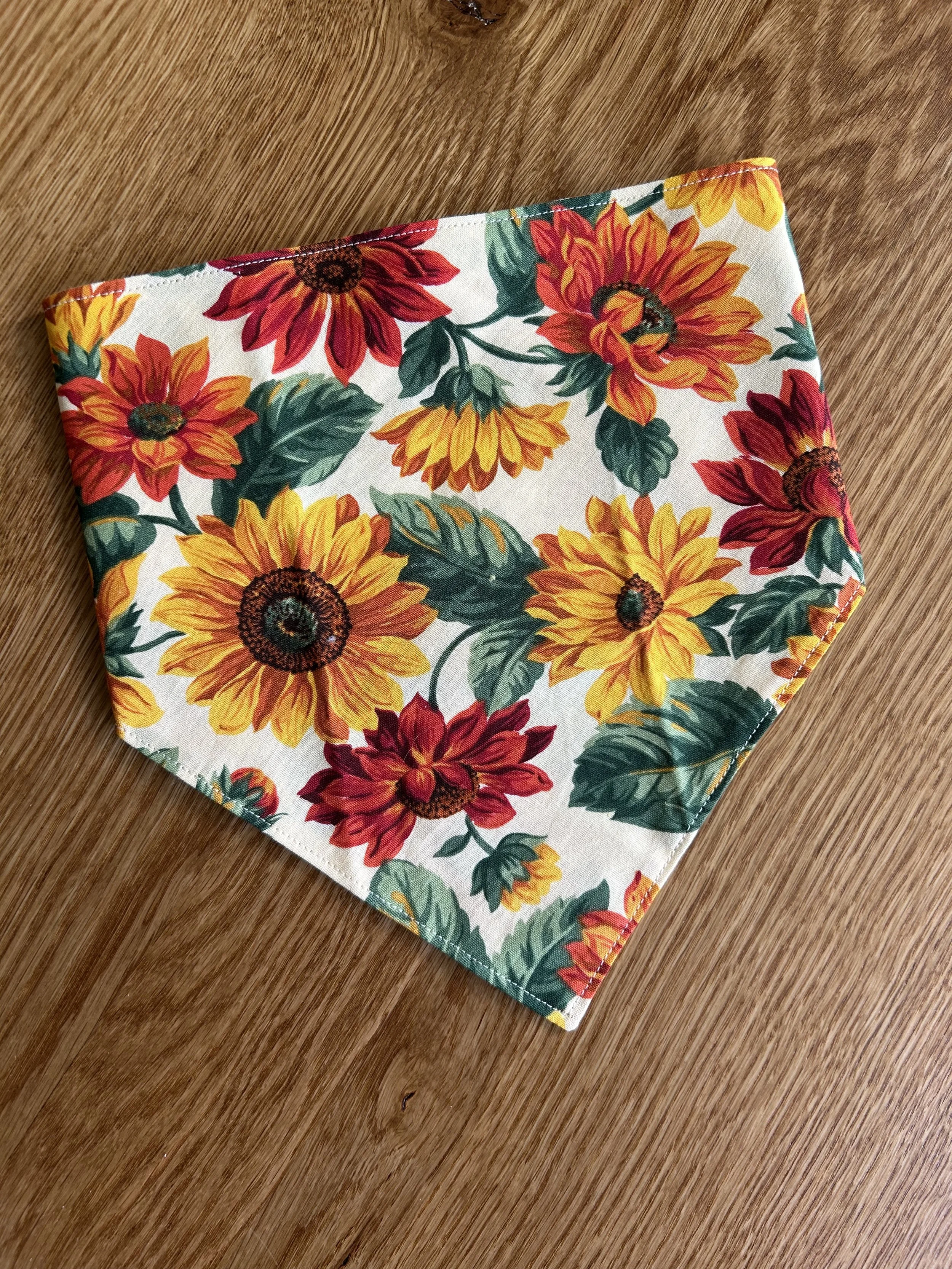 Autumn Sunflowers.jpg