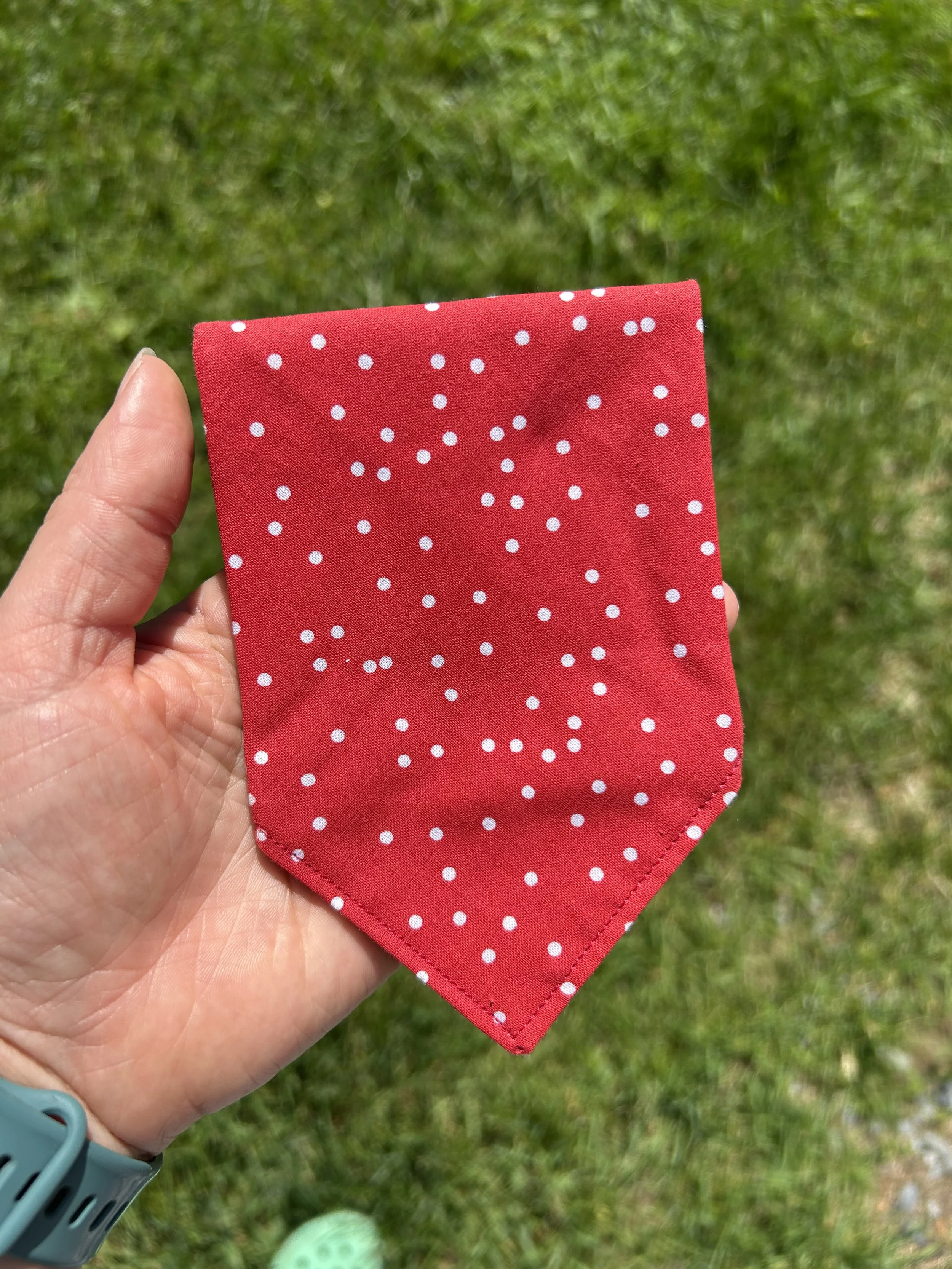 Polka Dots on Red.jpg