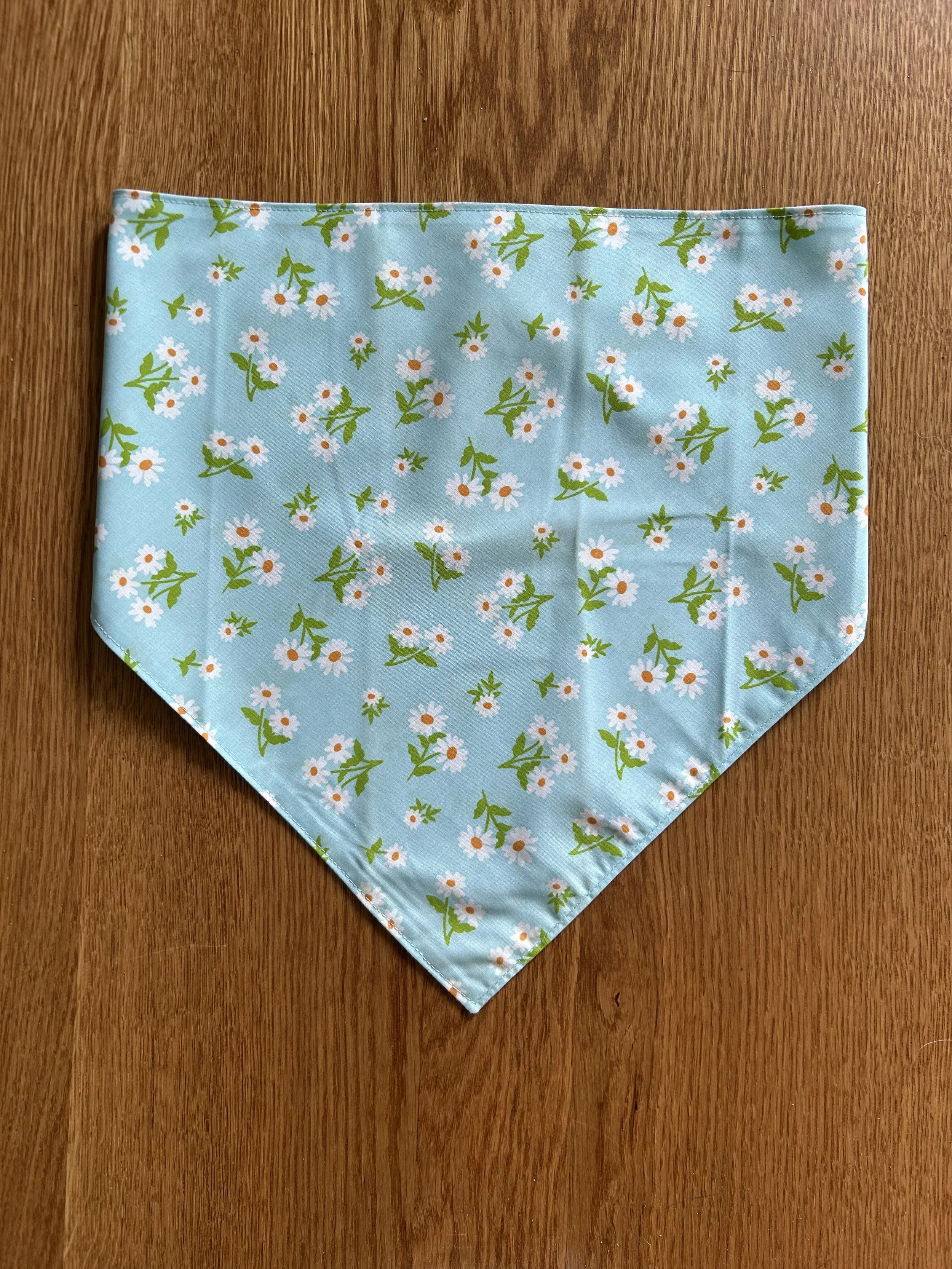 Daisies on Blue.jpg