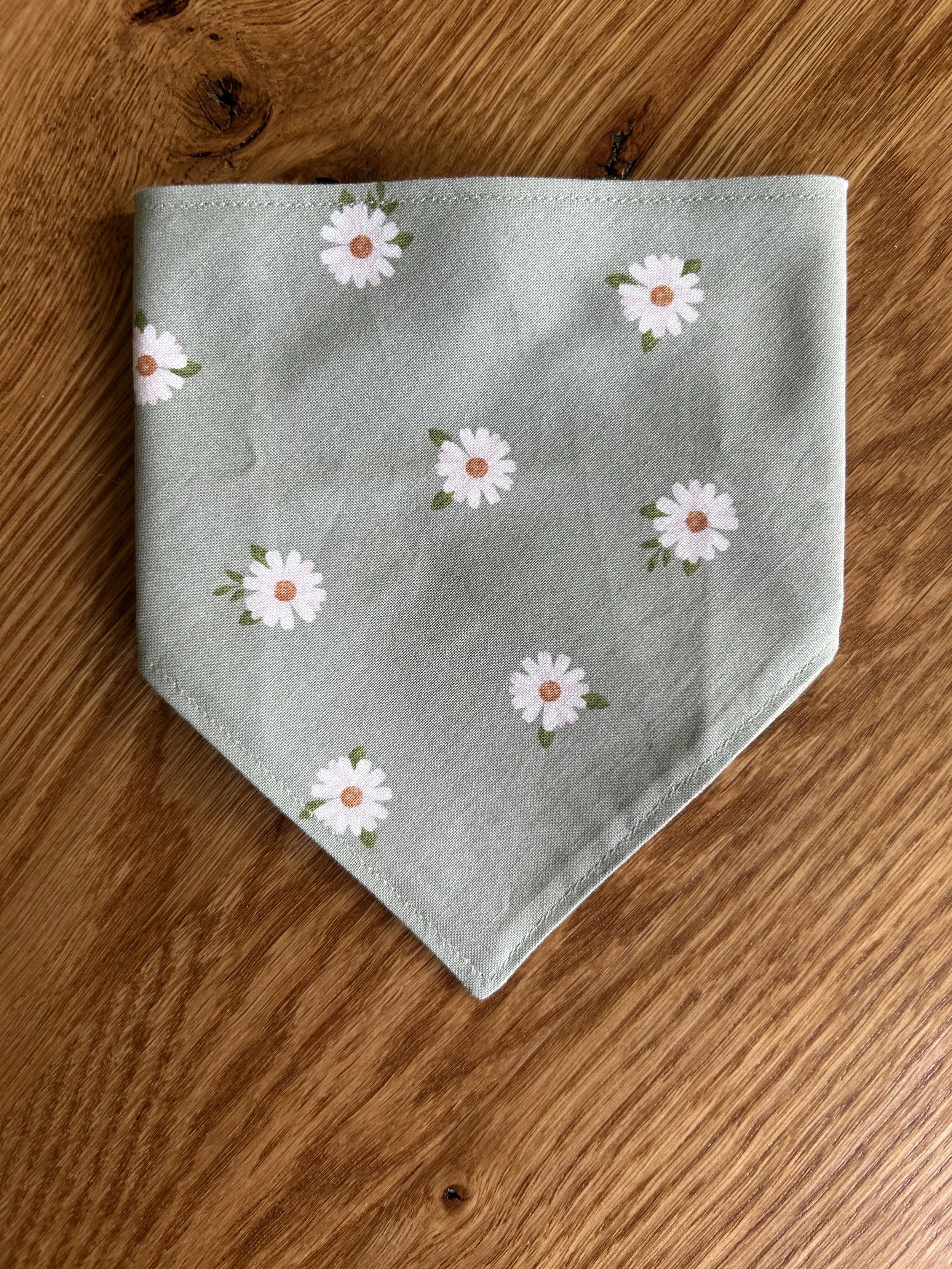 Daisies on Sage.jpg