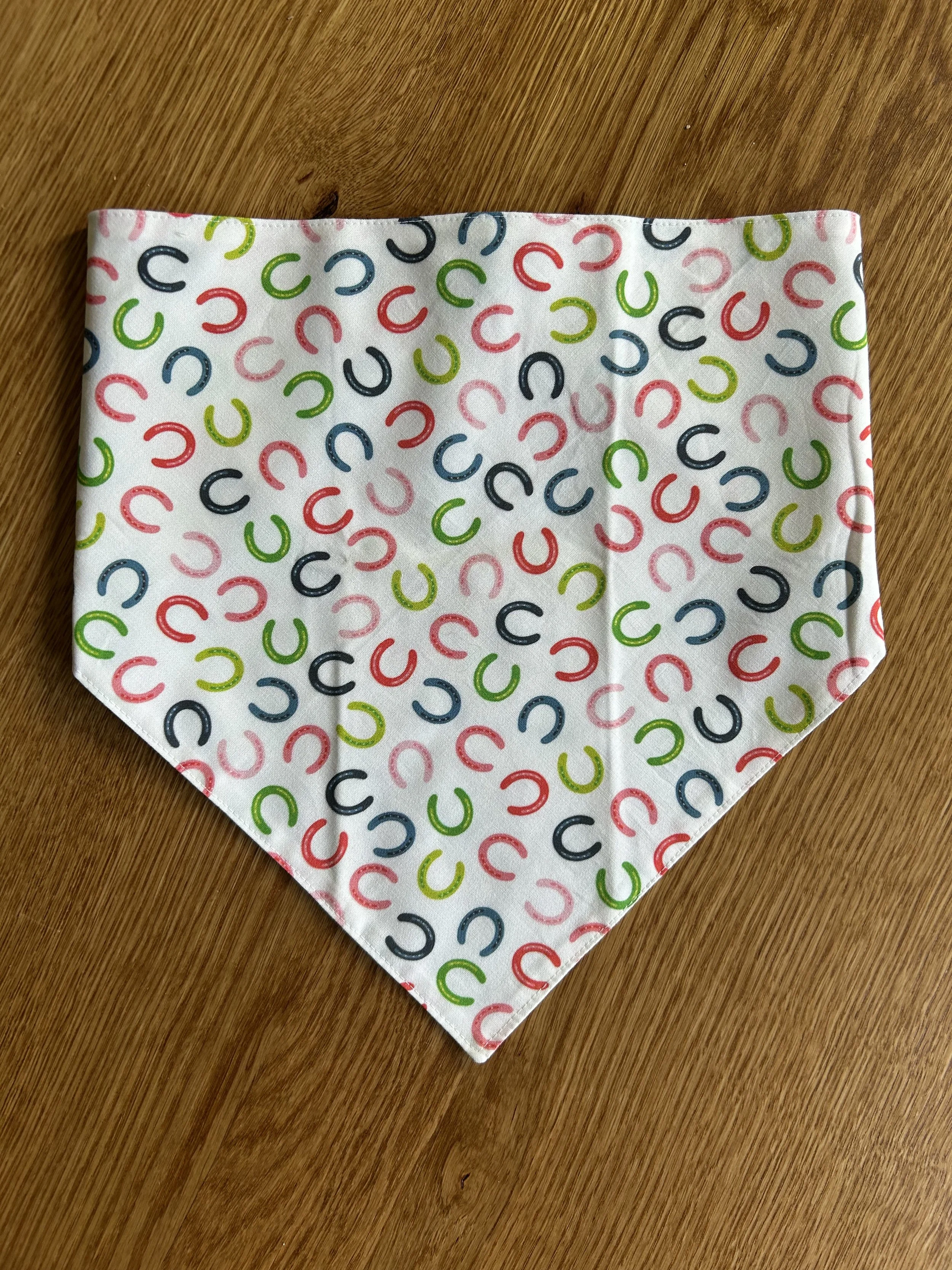 Rainbow Horseshoes on White.jpg