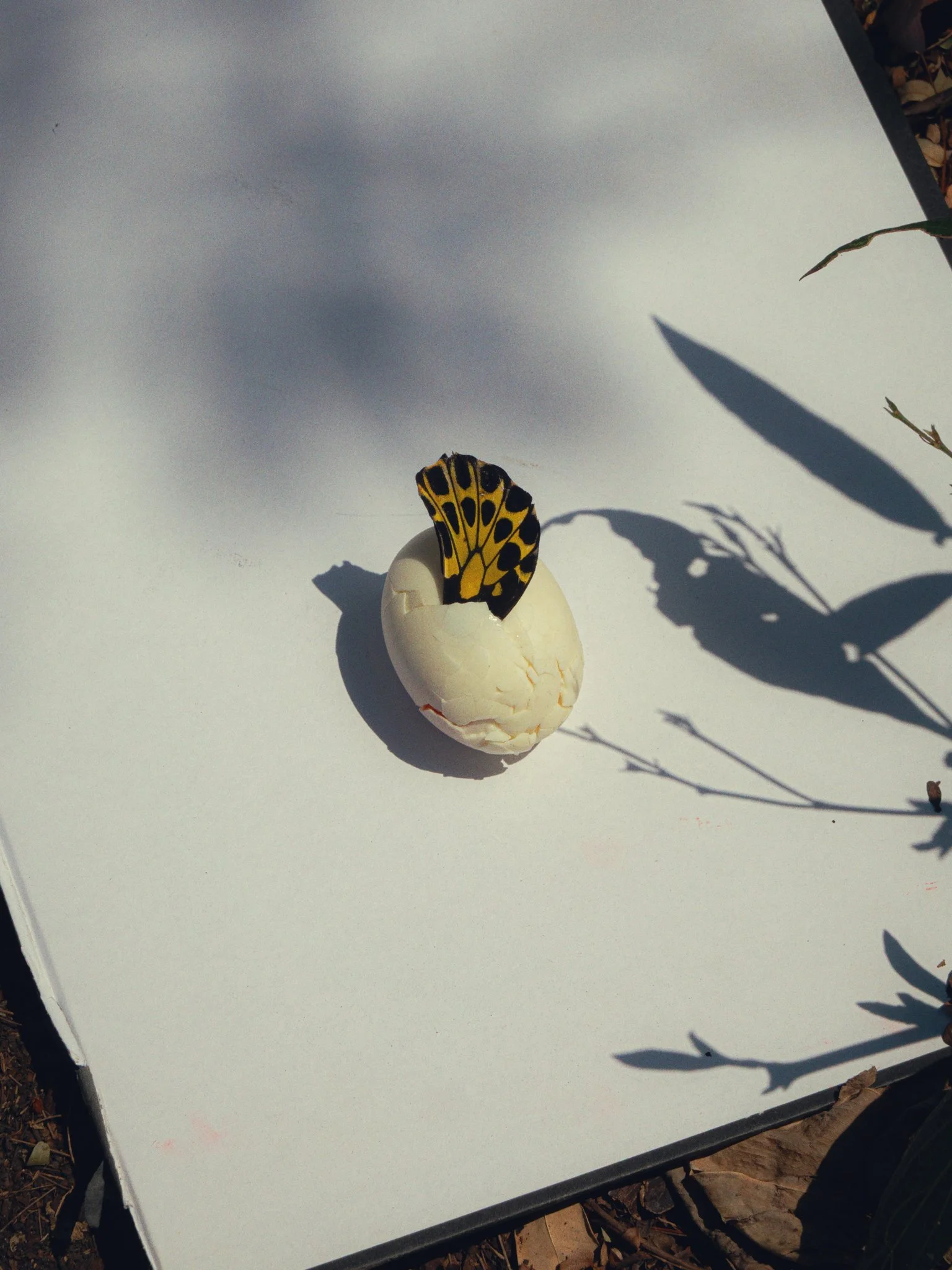 RNI-Films-IMG-AB00668A-FC81-489A-8B6C-ED0E9543CA85-2.jpg