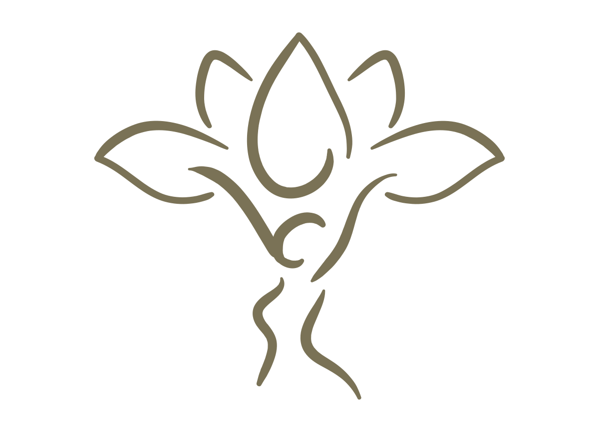 klimakterieboxen-flower.png