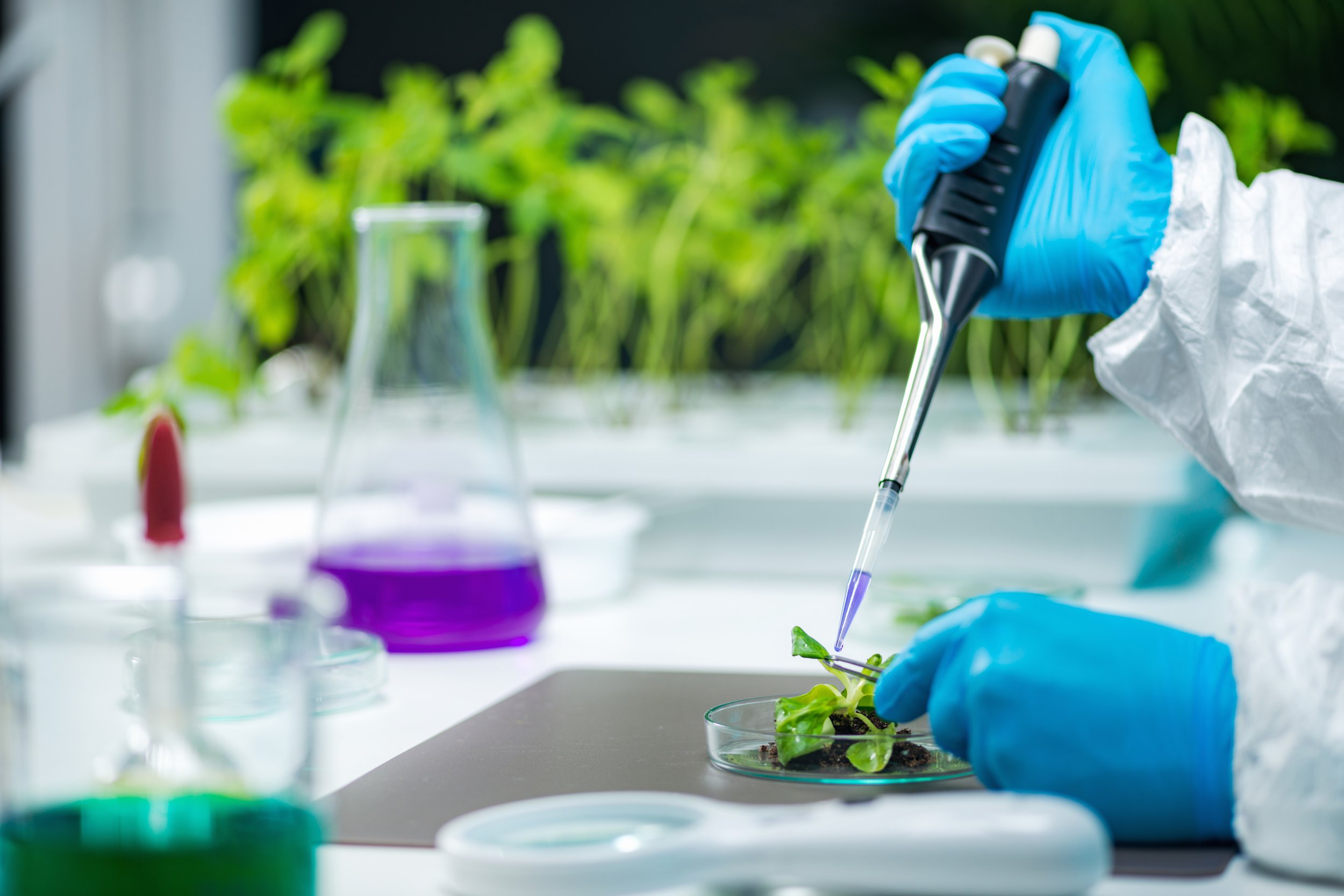 Biotech Investing: How the Money Is Made and Where the Risk Sits