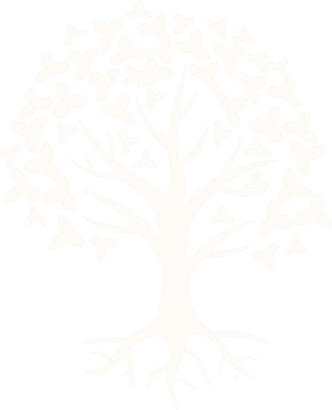 High Net Worth Wealth Management Explained - Complete Guide