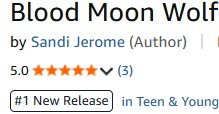 Amazon #1 New Release author Sandi Jerome