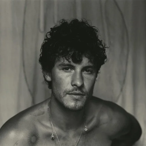 Why Why Why - Shawn Mendes