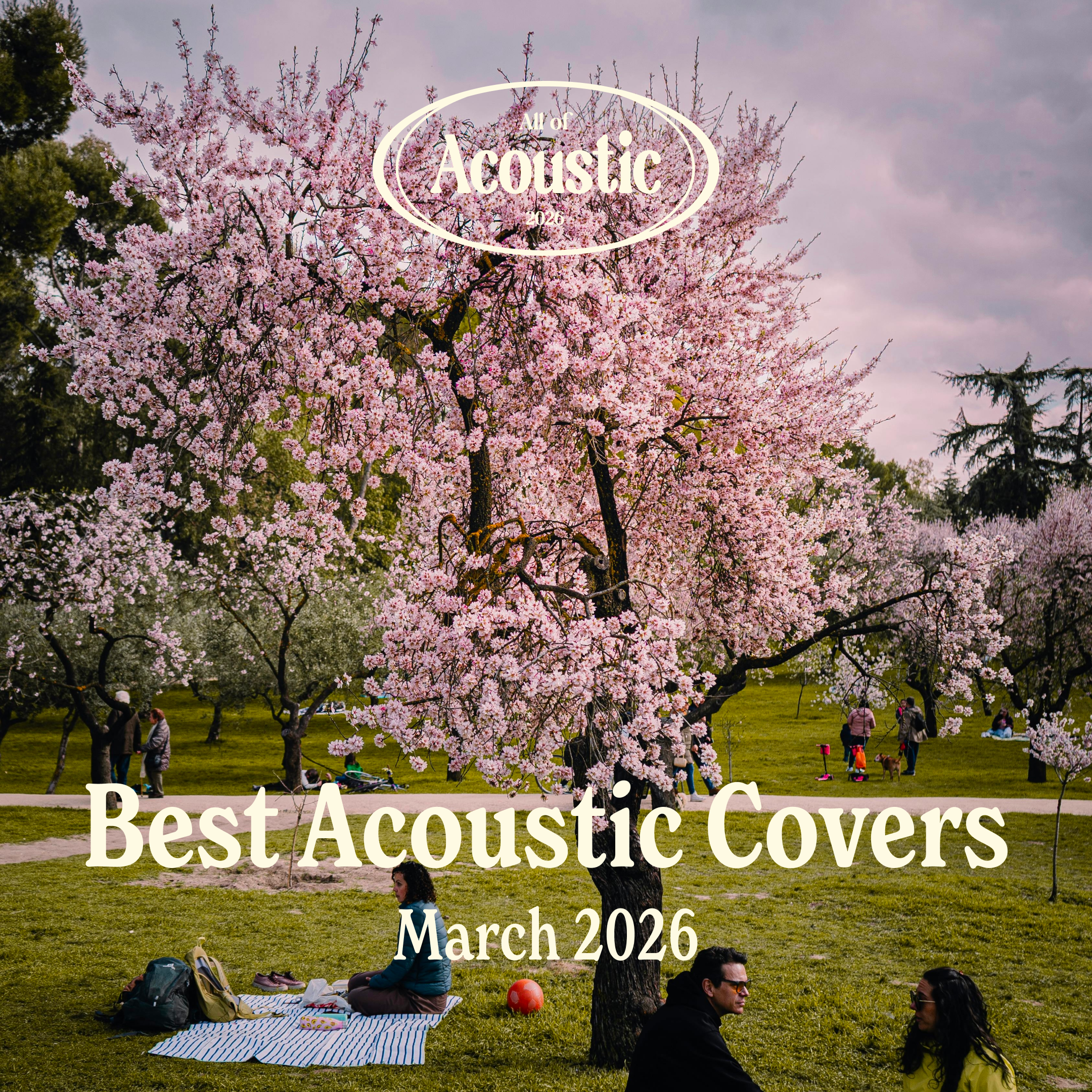 Best Acoustic Covers - March 2026