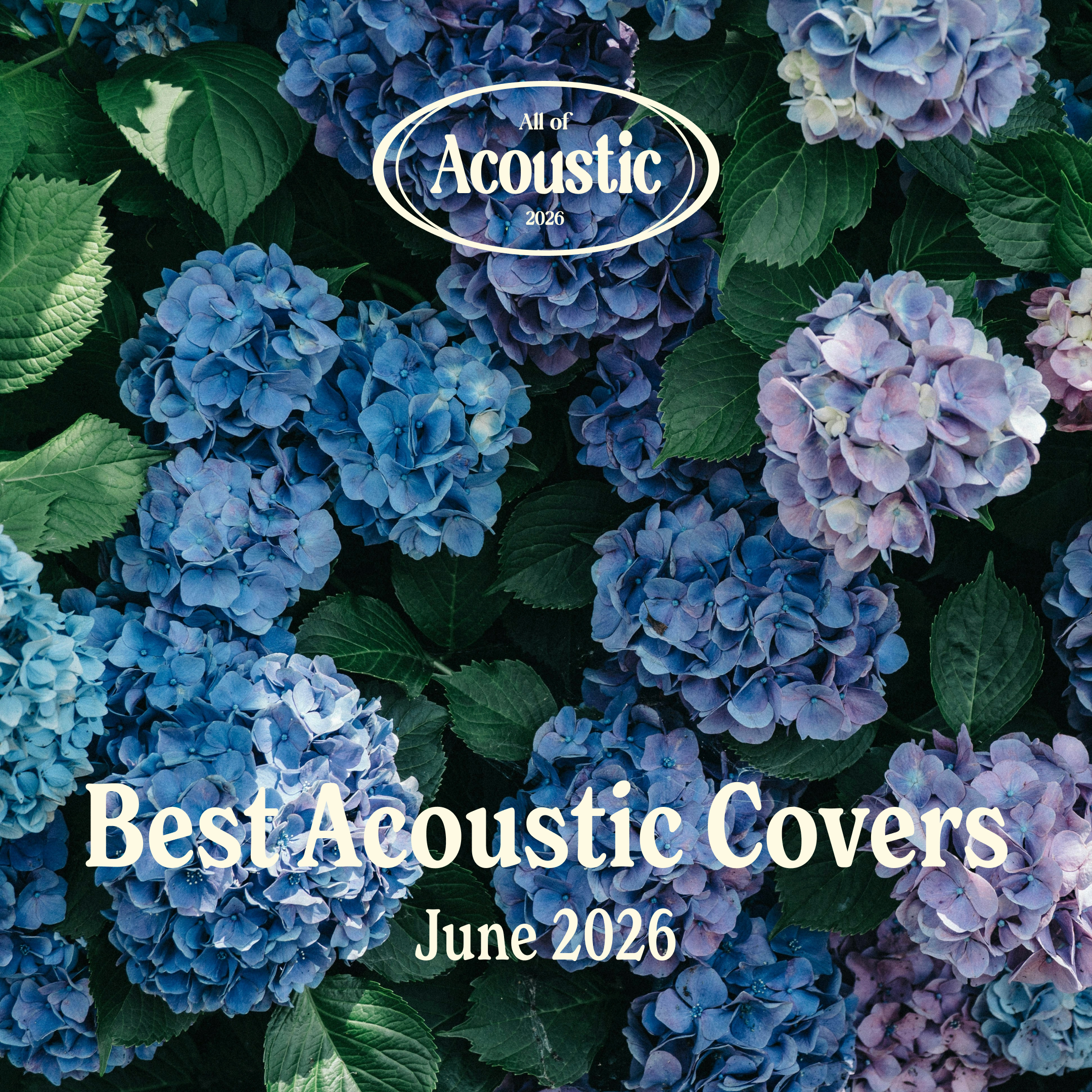 Best Acoustic Covers - June 2026