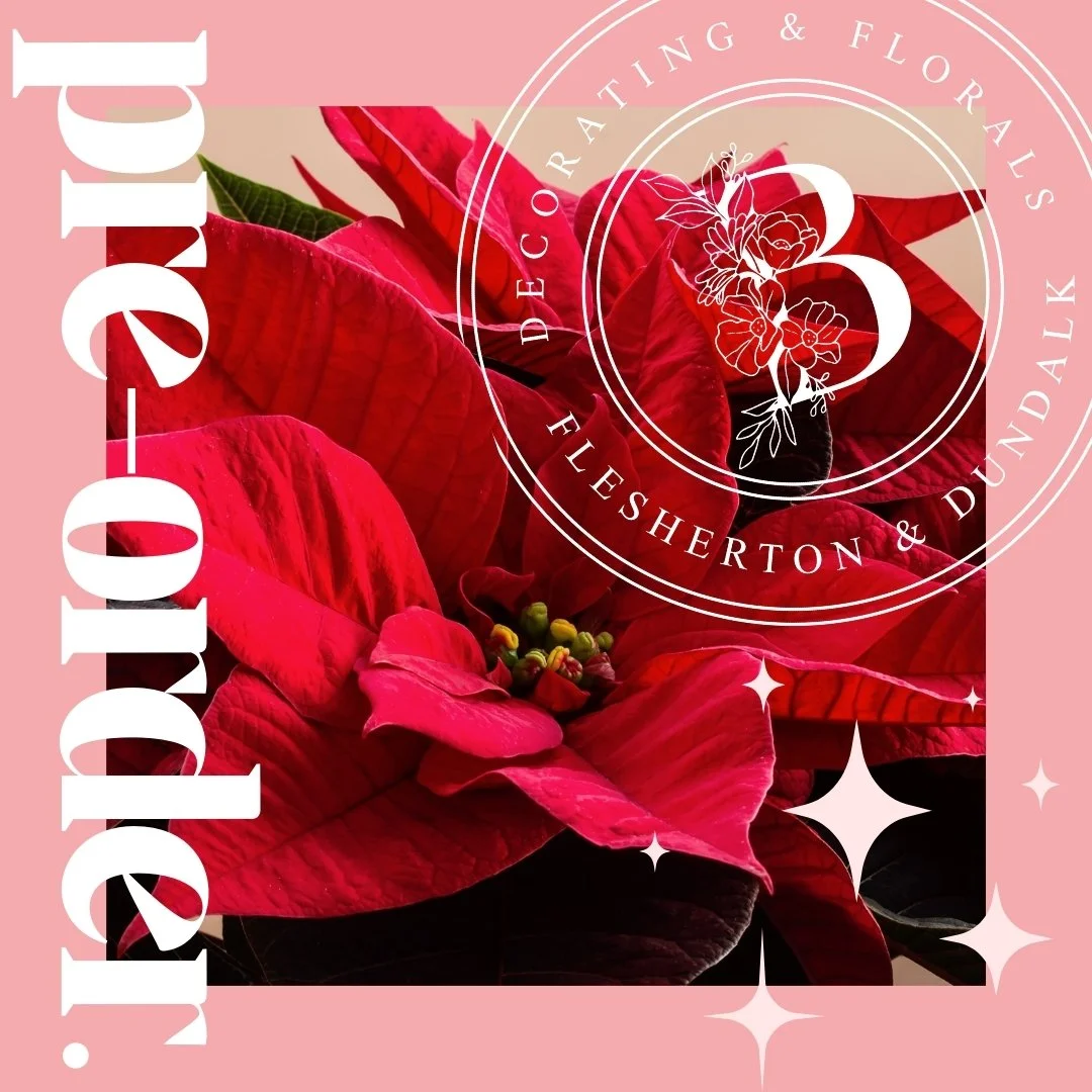 It's time to pre-order your poinsettias for the fast-approaching holiday season.
These make a great gift for hosts, employees/coworkers, and of course yourself!
3 colours and 3 sizes to choose from all arriving to Dundalk next week.

Place your pre-o
