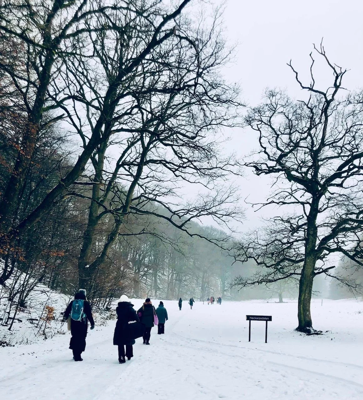 Goddess Gathering2.jpeg