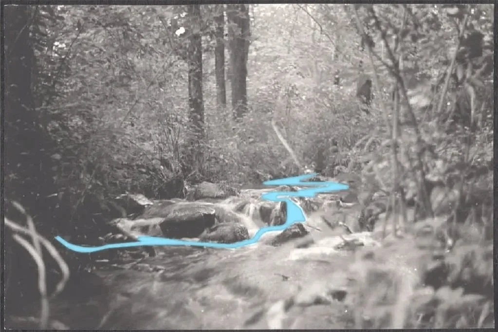 RIVER REIMAGINED