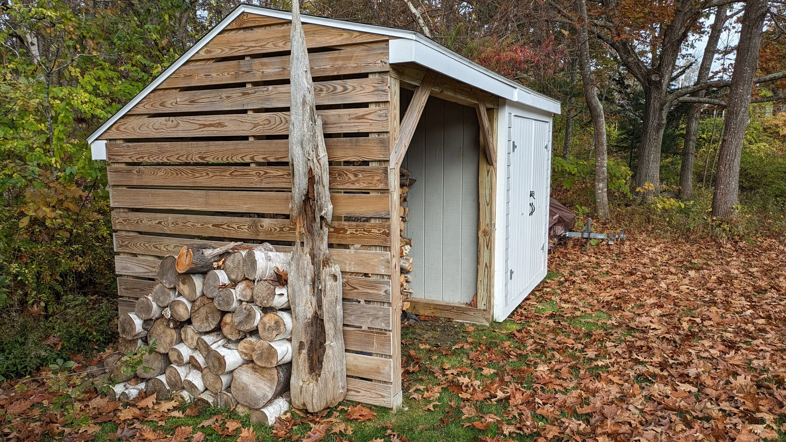 Wooden shed with a pile of firewood stacked next to it, surrounded by fallen autumn leaves and trees.