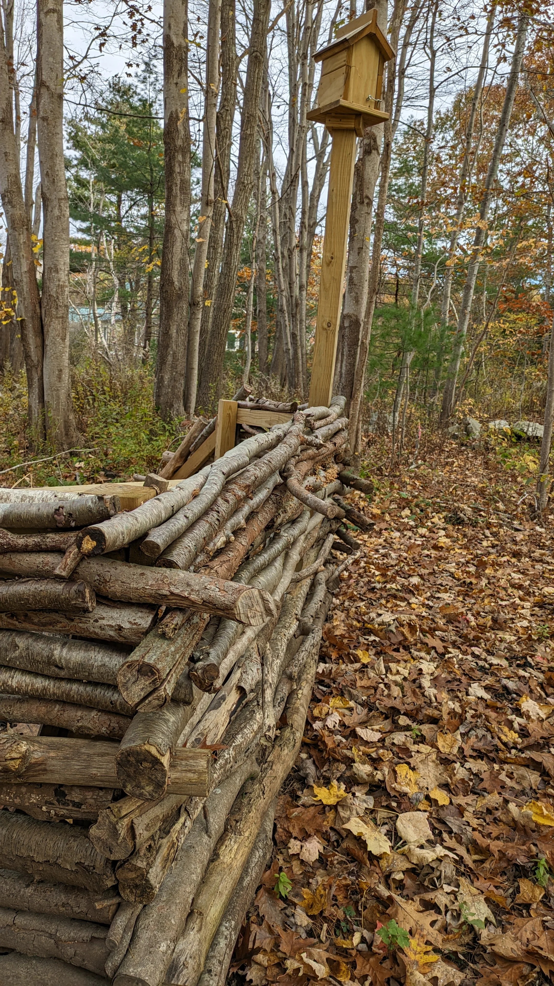 A wooden birdhouse mounted on a tall post in a wooded area with fallen autumn leaves on the ground.