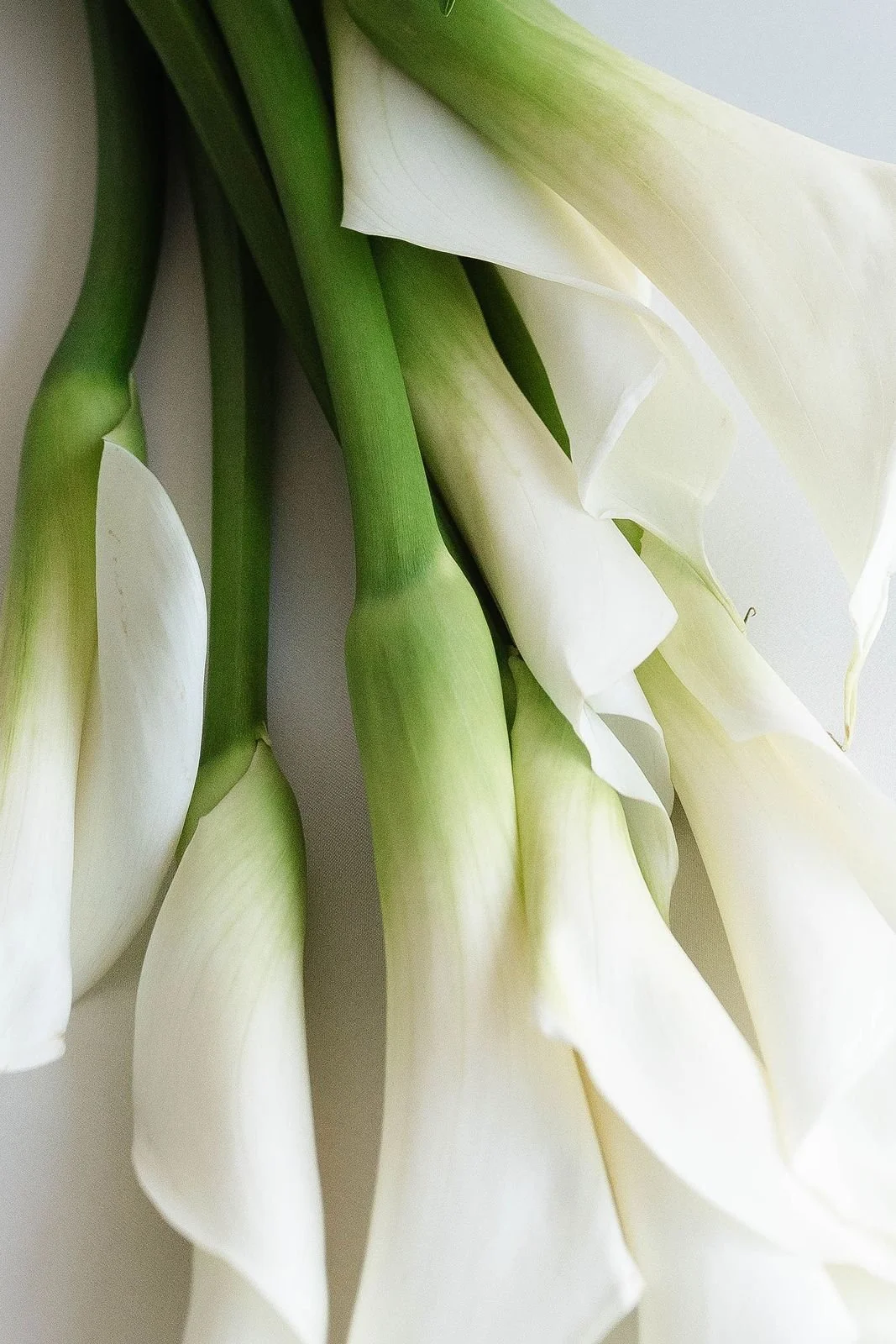 Garden-Wedding-Venue-bride-bouquet.jpg