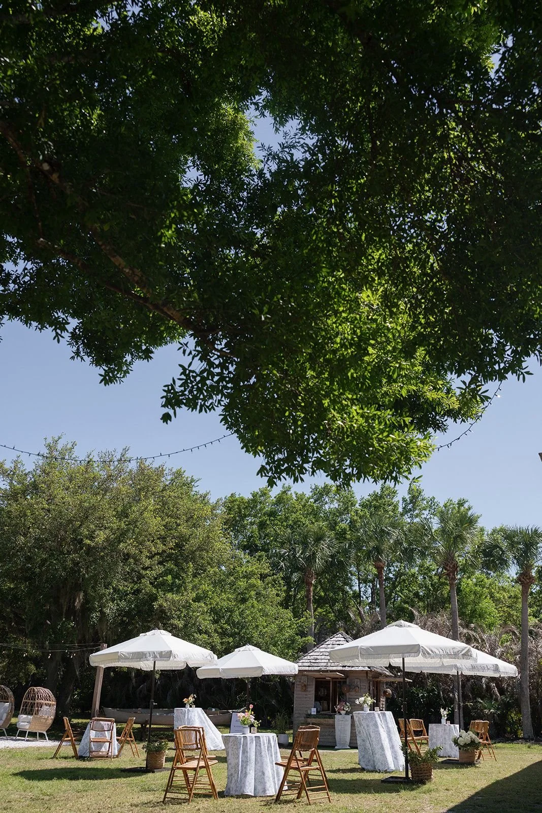wedding-reception-venue-florida-cocktail-hour.jpg