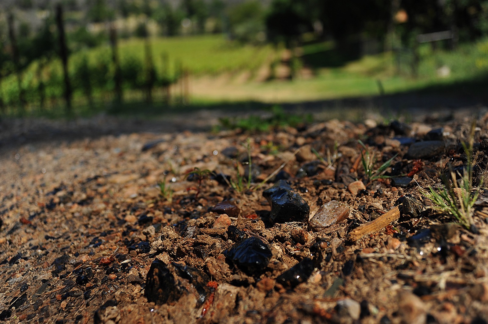 Obsidian Vineyard Soil.png