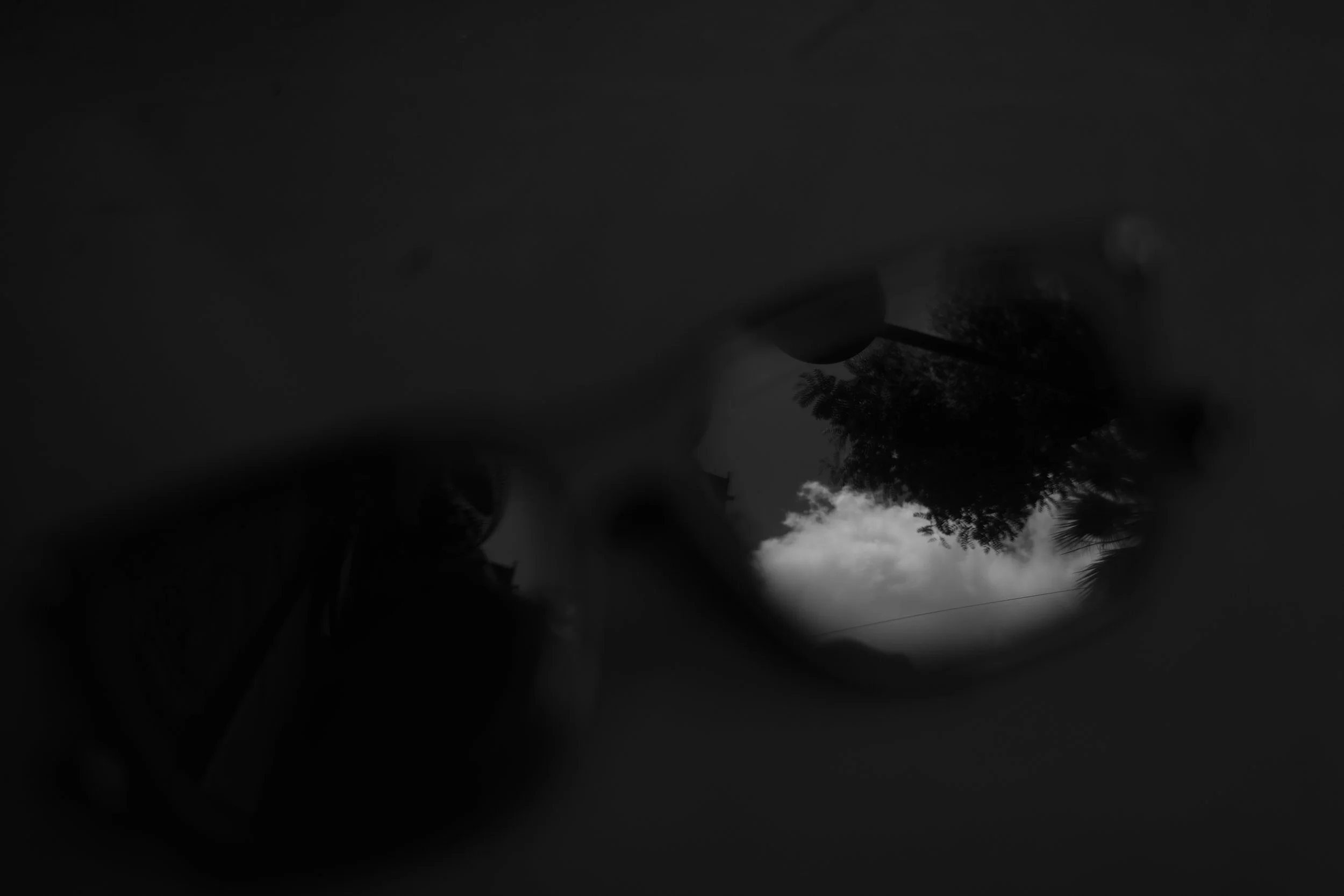 DSCF2445.jpg