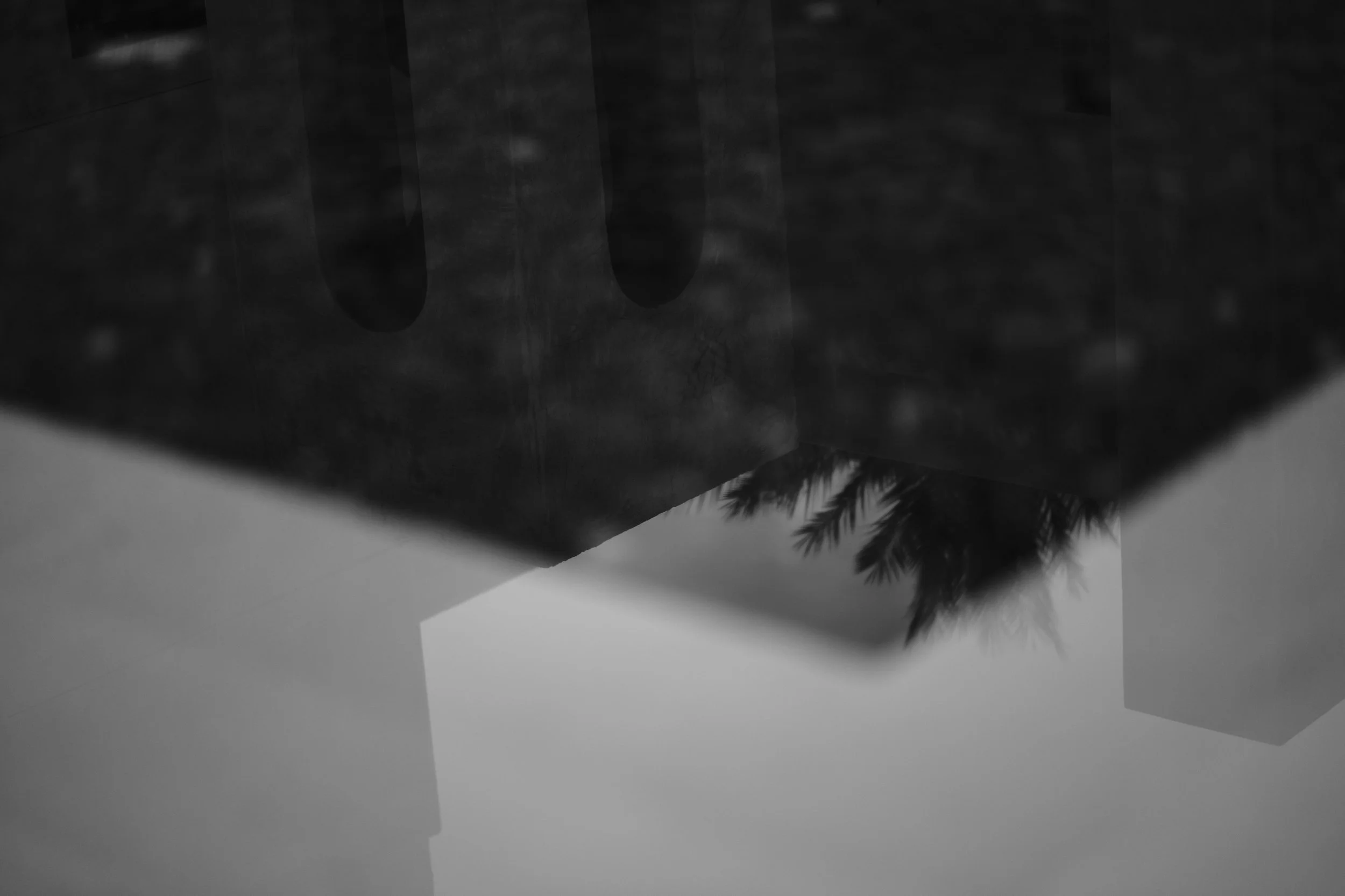 A6DCDE1B-7C3A-4C1D-85C1-F3564973A1FD-729-00000112B47E0CD9.jpg