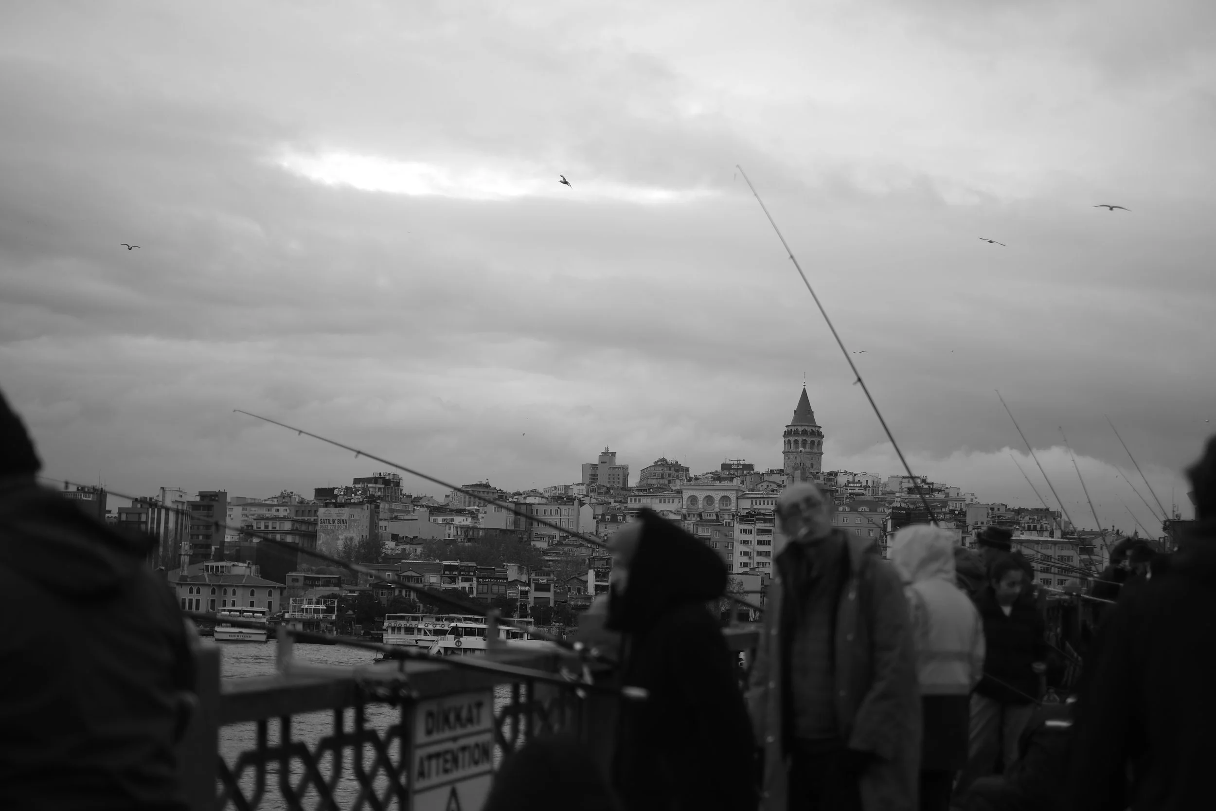 DSCF1478.jpg