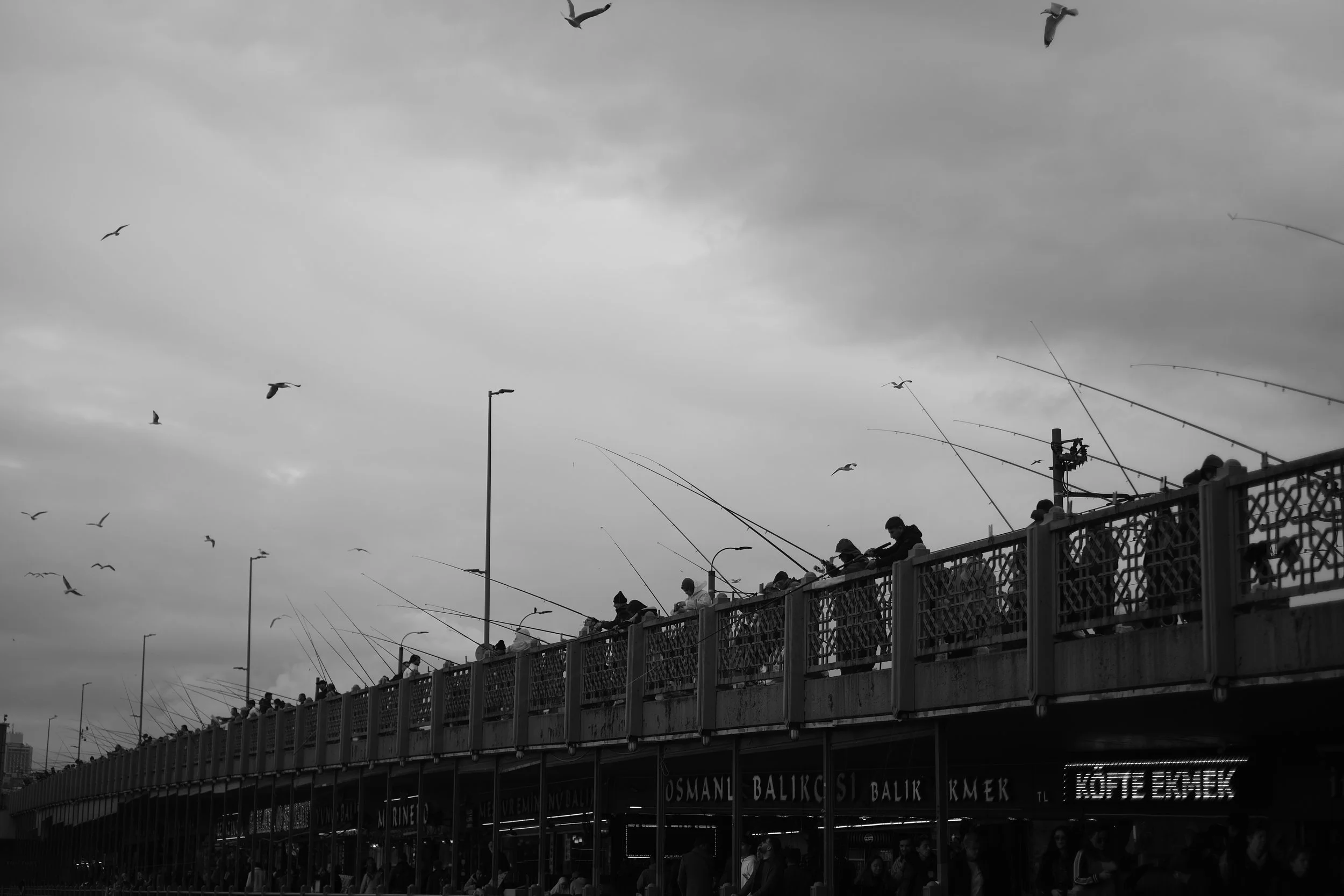 DSCF1467.jpg