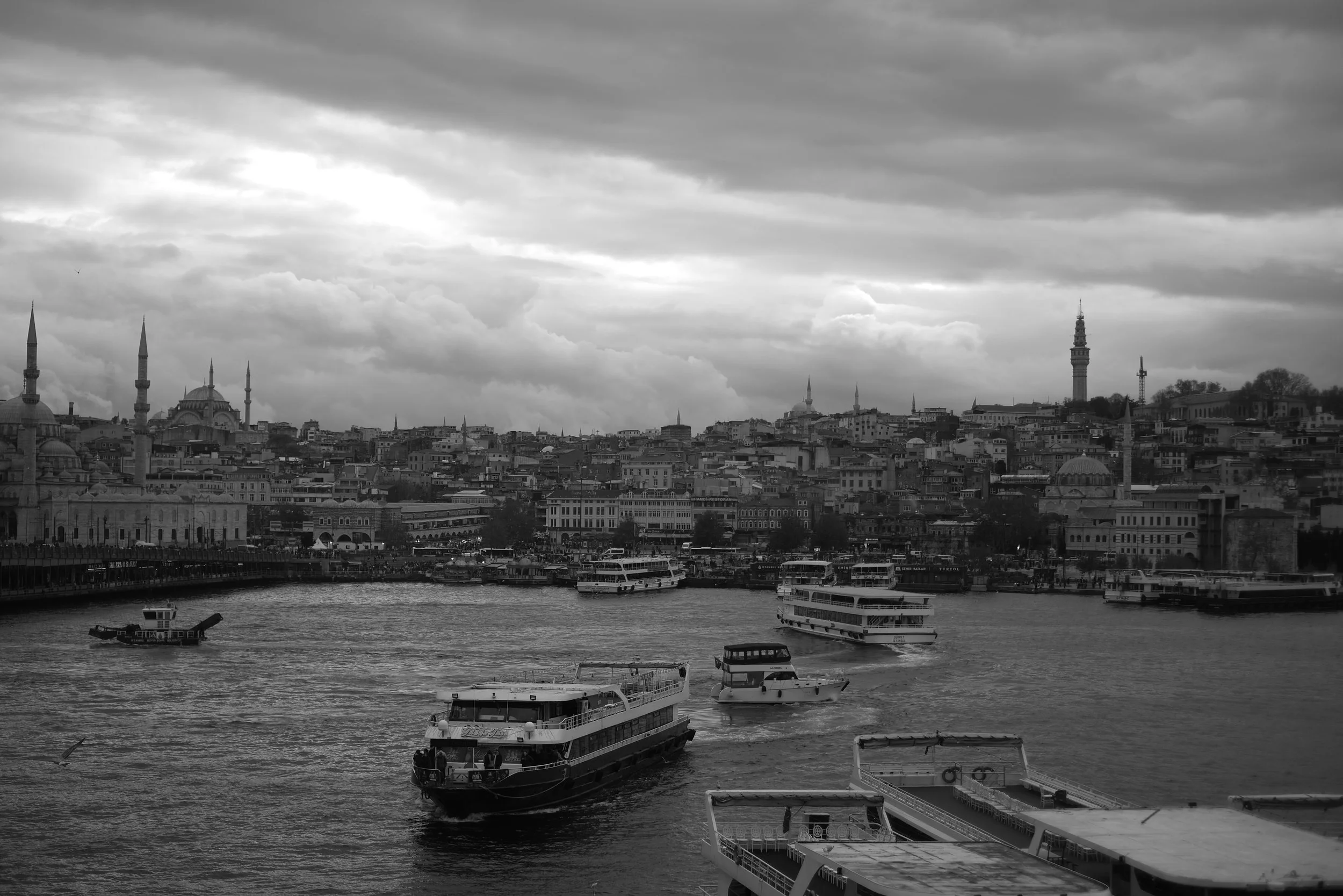 DSCF1480.jpg