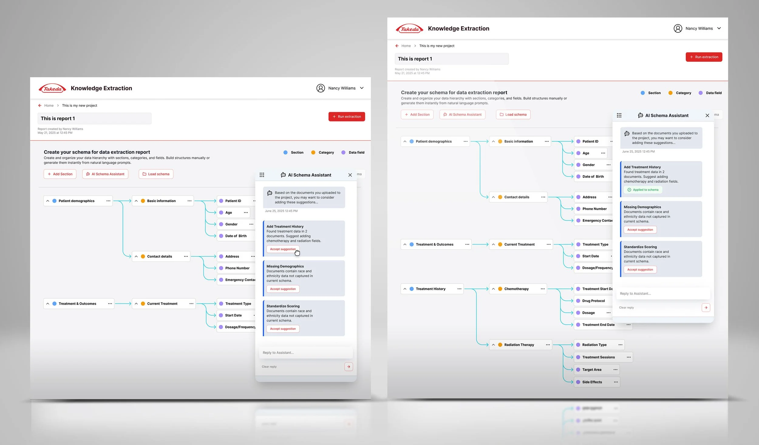 AI schema prompting