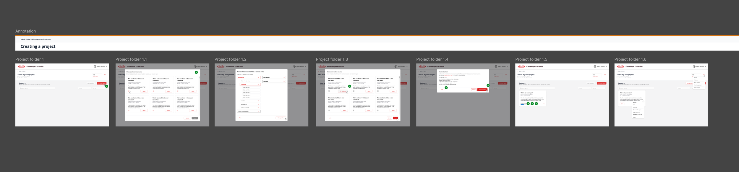 User journey flows