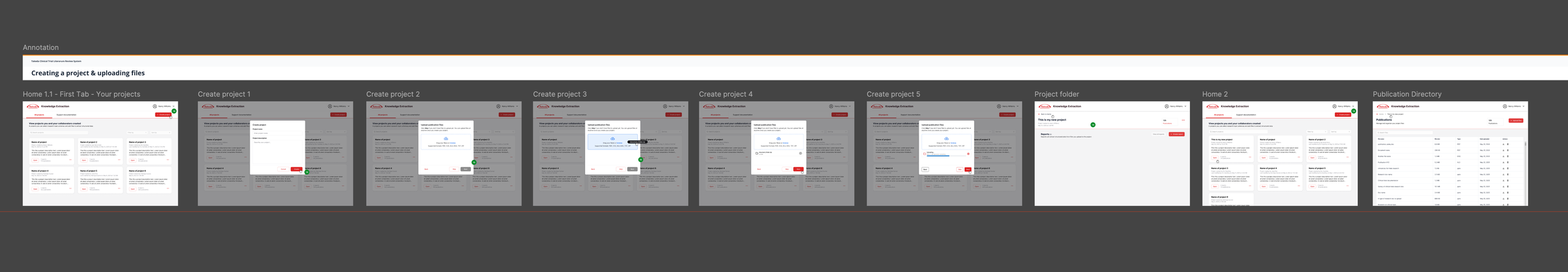 User journey flows