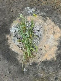 Els met haar team over hun TrueCore Journey