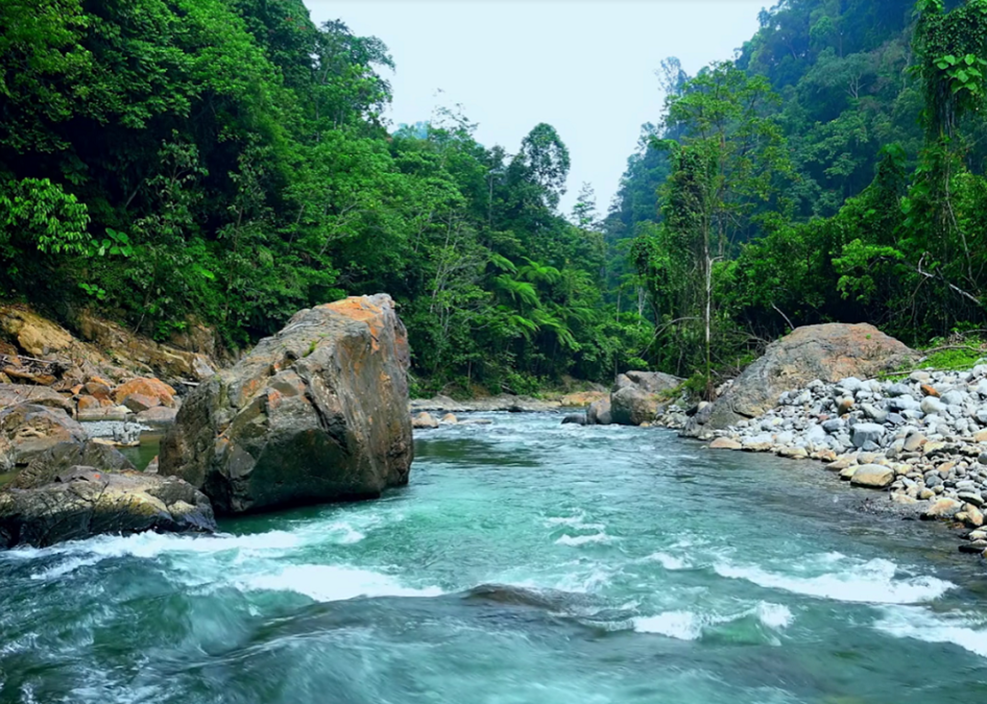 Een kabbelende rivier omringd door weelderig groen bos in een bergachtig landschap.