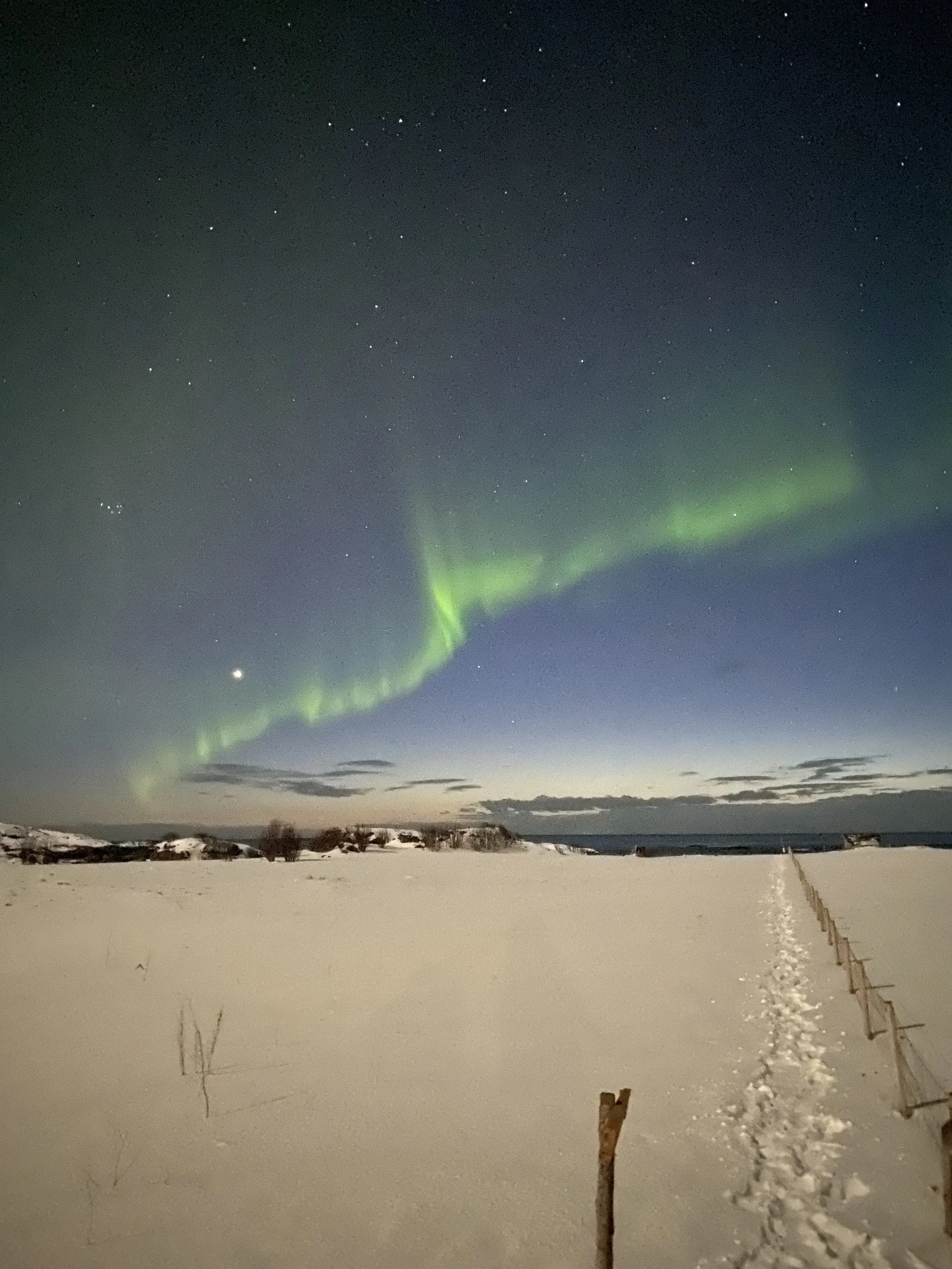 Sneeuwlandschap 's nacht met noorderlicht en sterrenhemel.