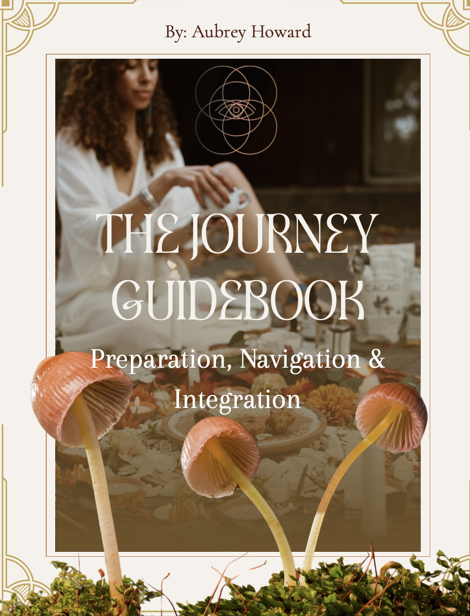 Screenshot 2025-12-19 at 12.24.55 PM.png